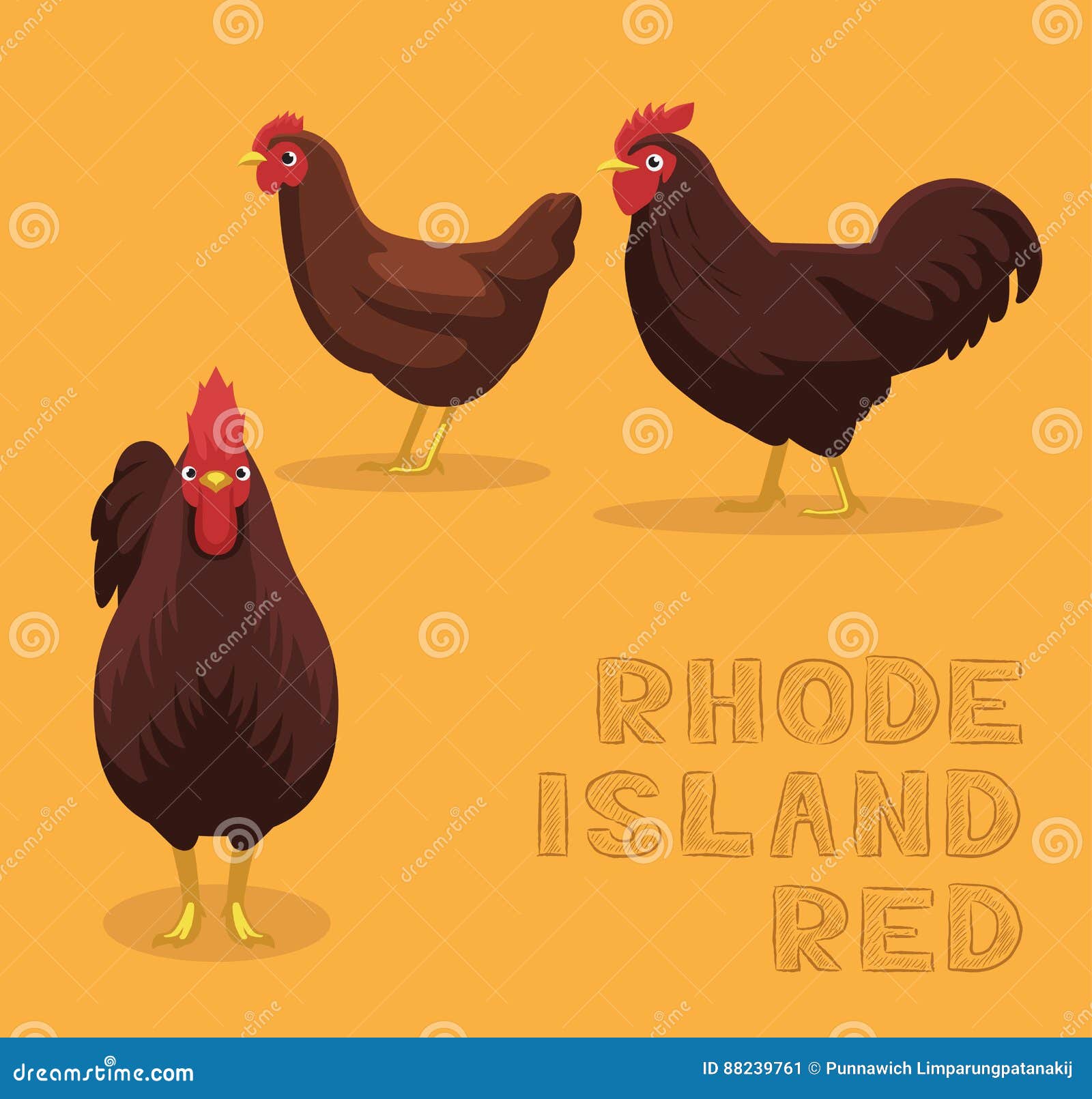 Chicken Rhode Island Red Cartoon Vector Illustration Stock Vector