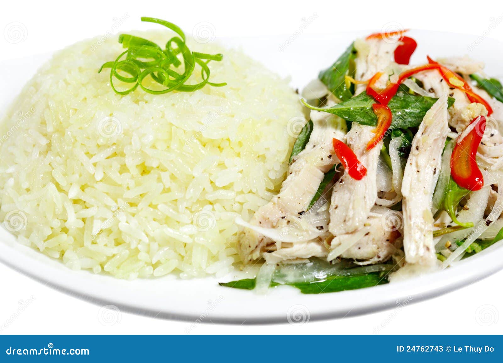 Chicken Rice Dish stock image. Image of delicious, plate 24762743