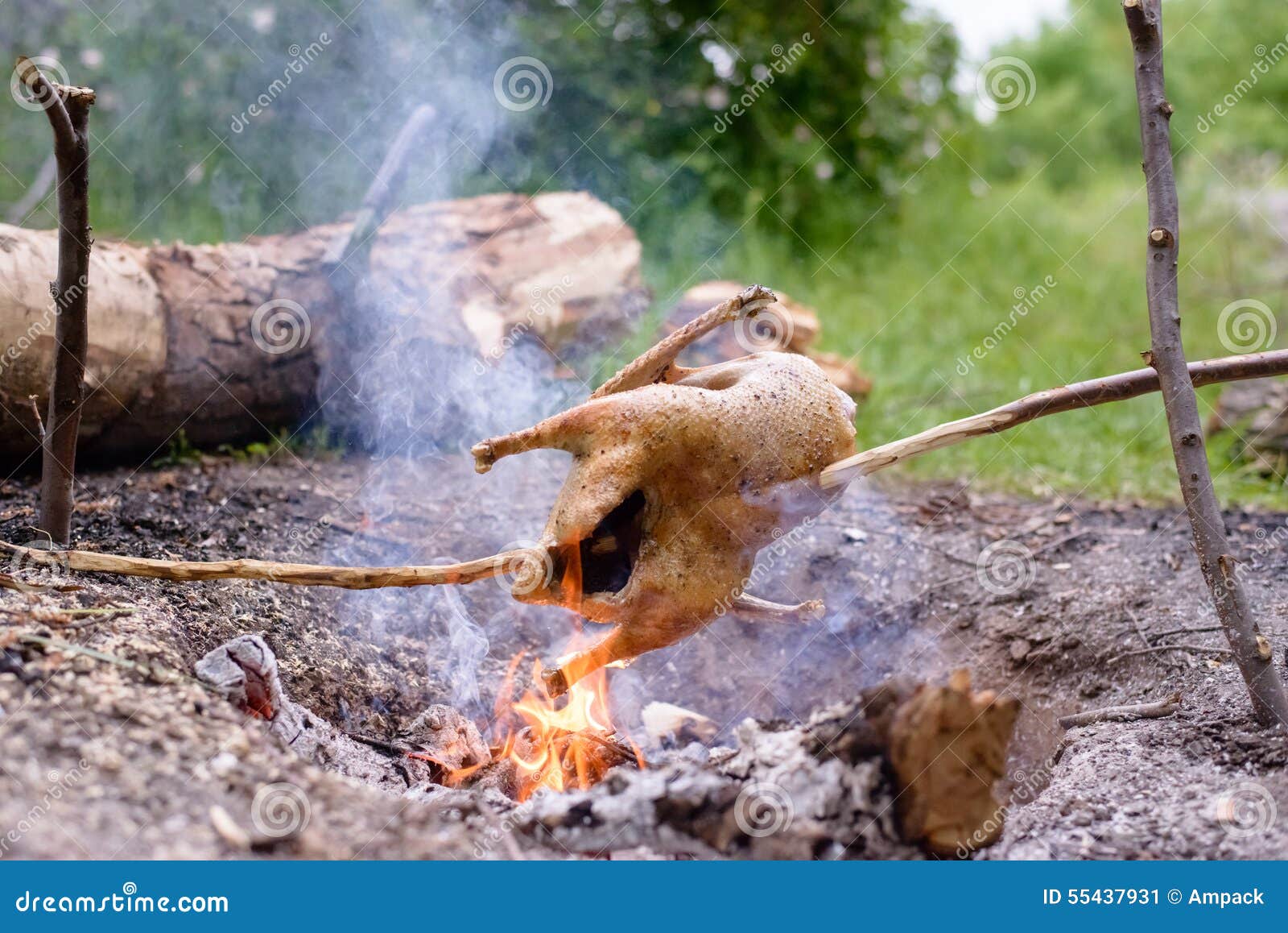 chicken roasting over open camp fire stock image image of