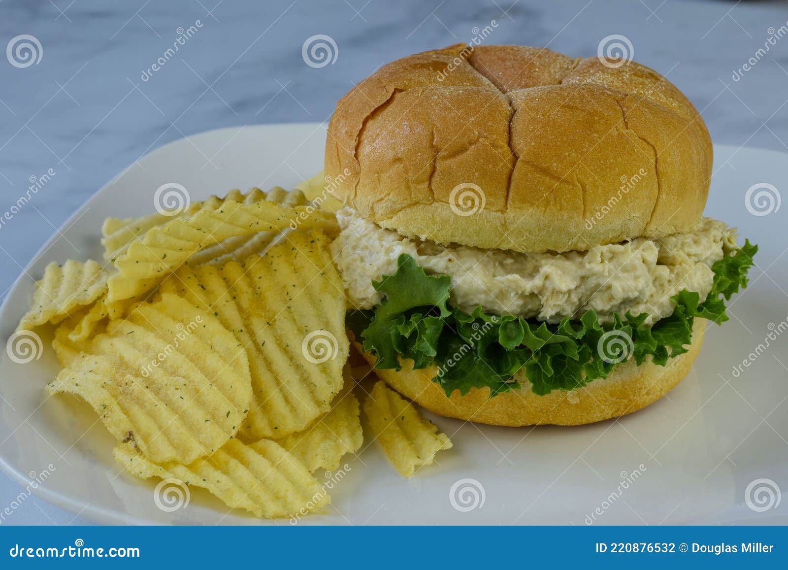 Chicken Salad Sandwich with Potato Chips Stock Photo Image of lettuce