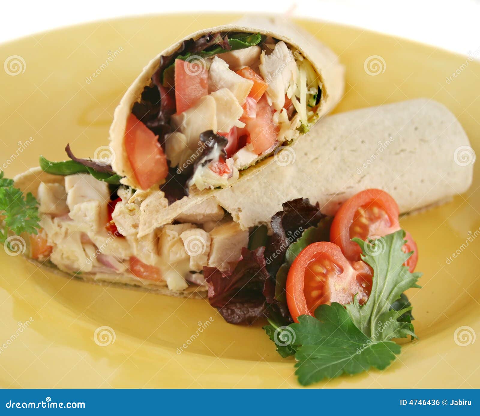 Chicken Salad Wrap stock photo. Image of delectable, flavorsome - 4746436