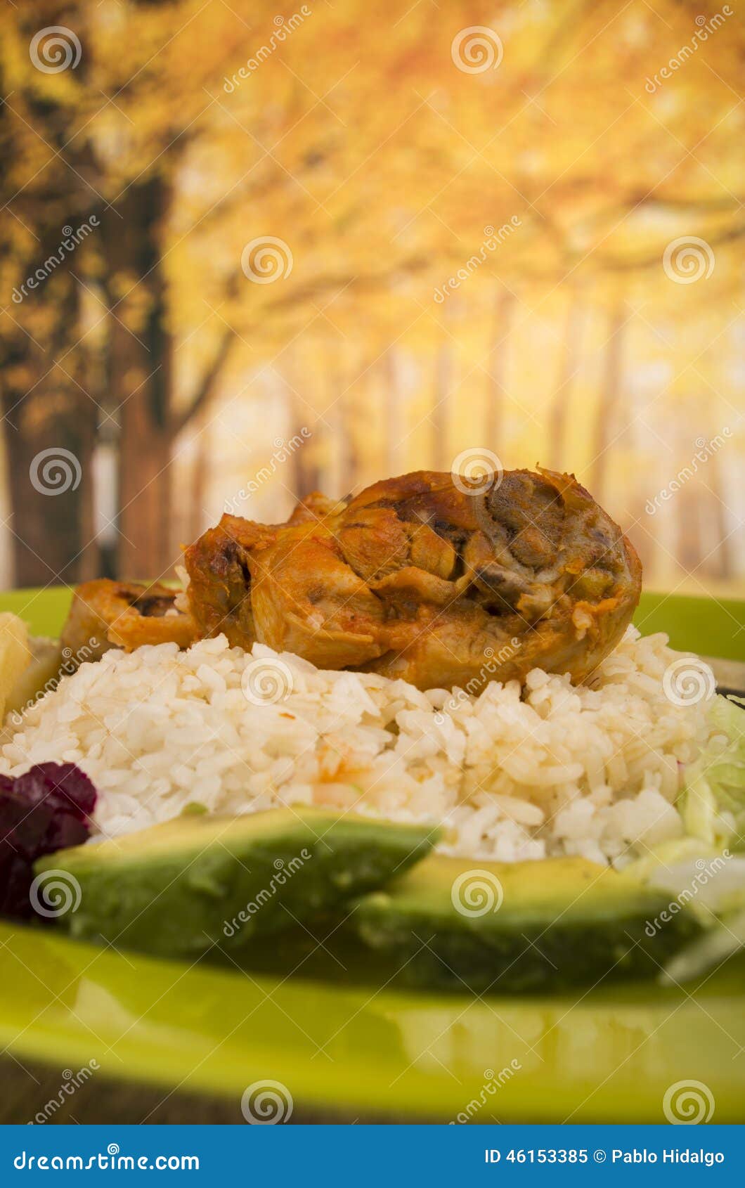 Chicken Served with White Rice Potato on a Plate Stock Image Image of chicken, closeup 46153385
