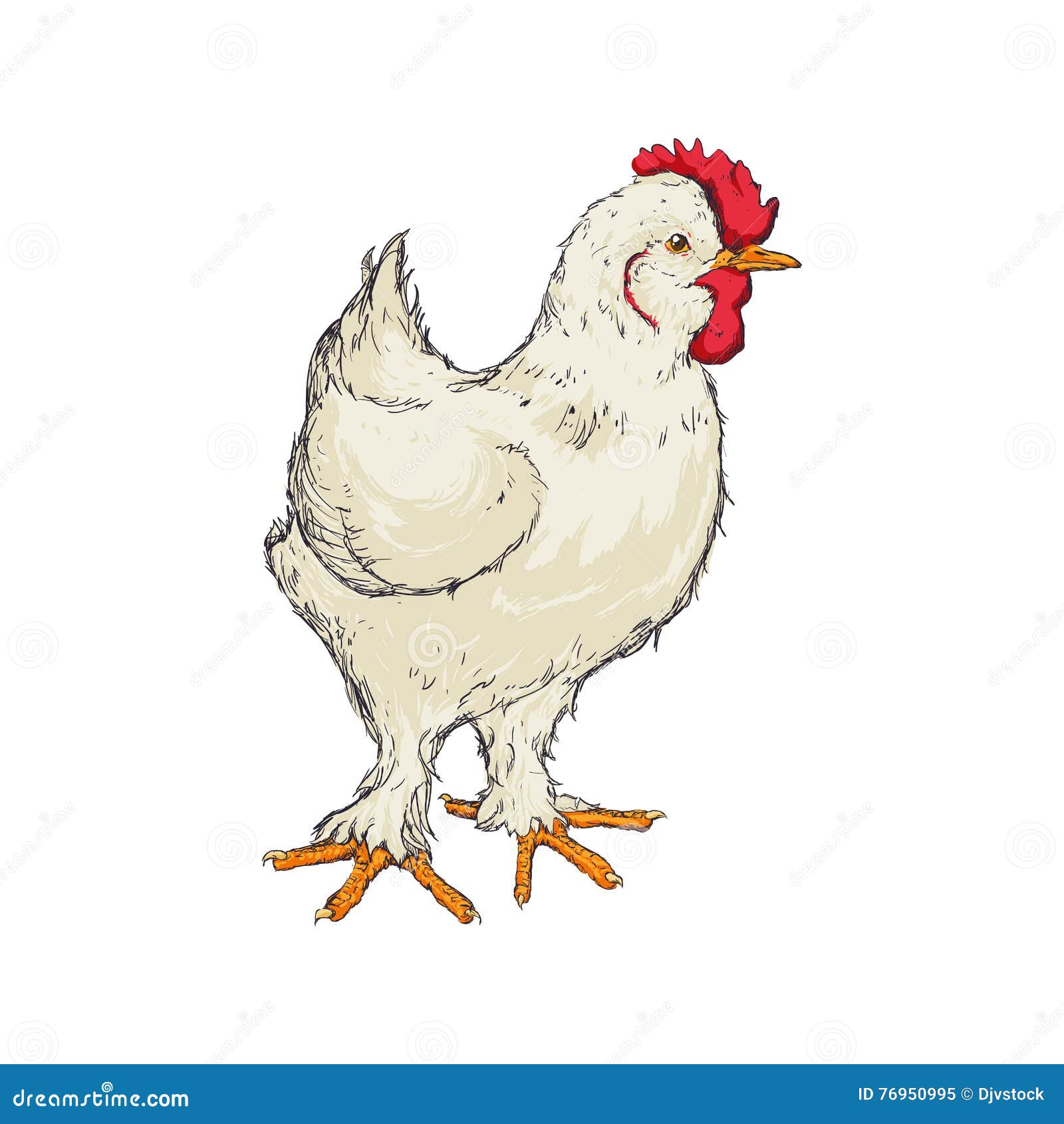 Premium Vector | Hand drawing assorted chickens vector illustration clip art