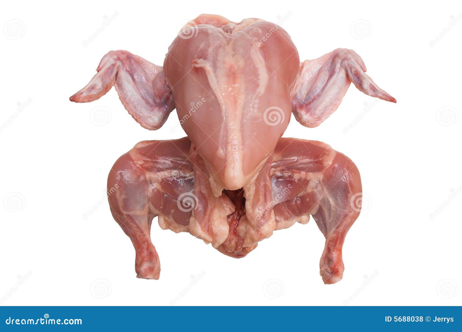 Chicken without skin. stock photo. Image of poultry, dieting 5688038