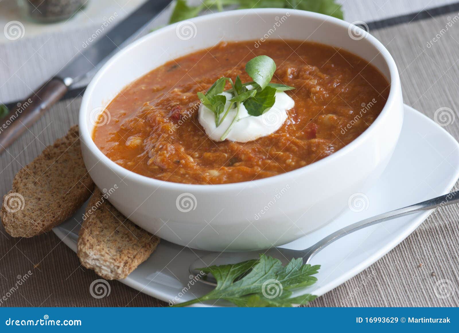 Chicken soup stock image. Image of meal, dining, sour 16993629