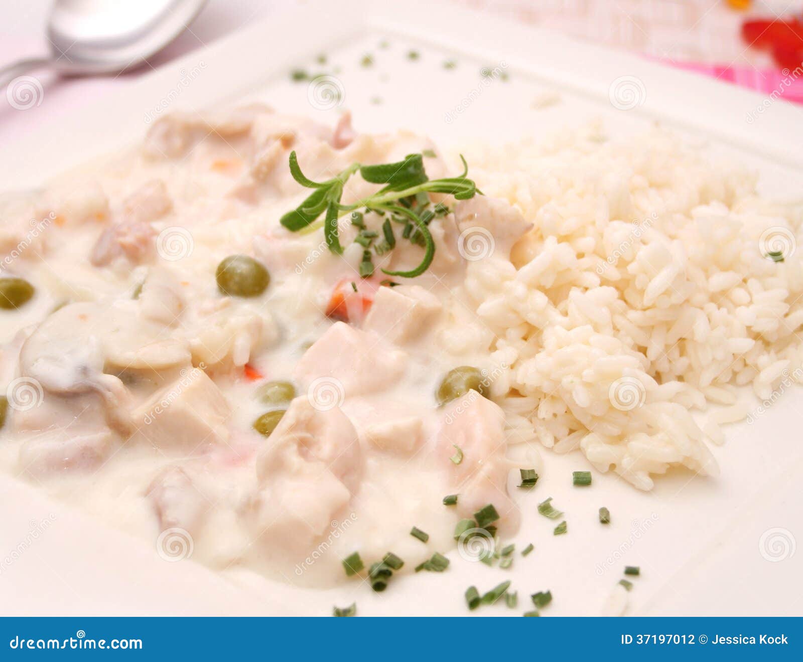 Chicken stew with rice stock photo. Image of chicken - 37197012