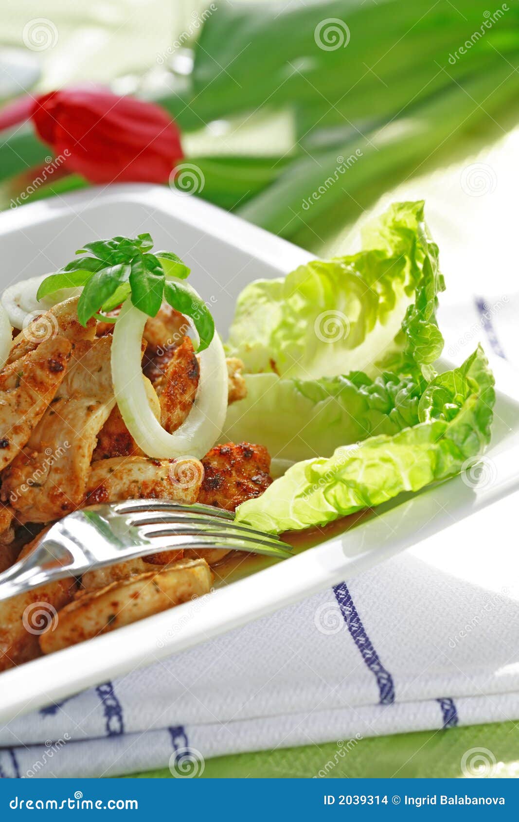 Chicken stripes with salad stock photo. Image of grilled 2039314