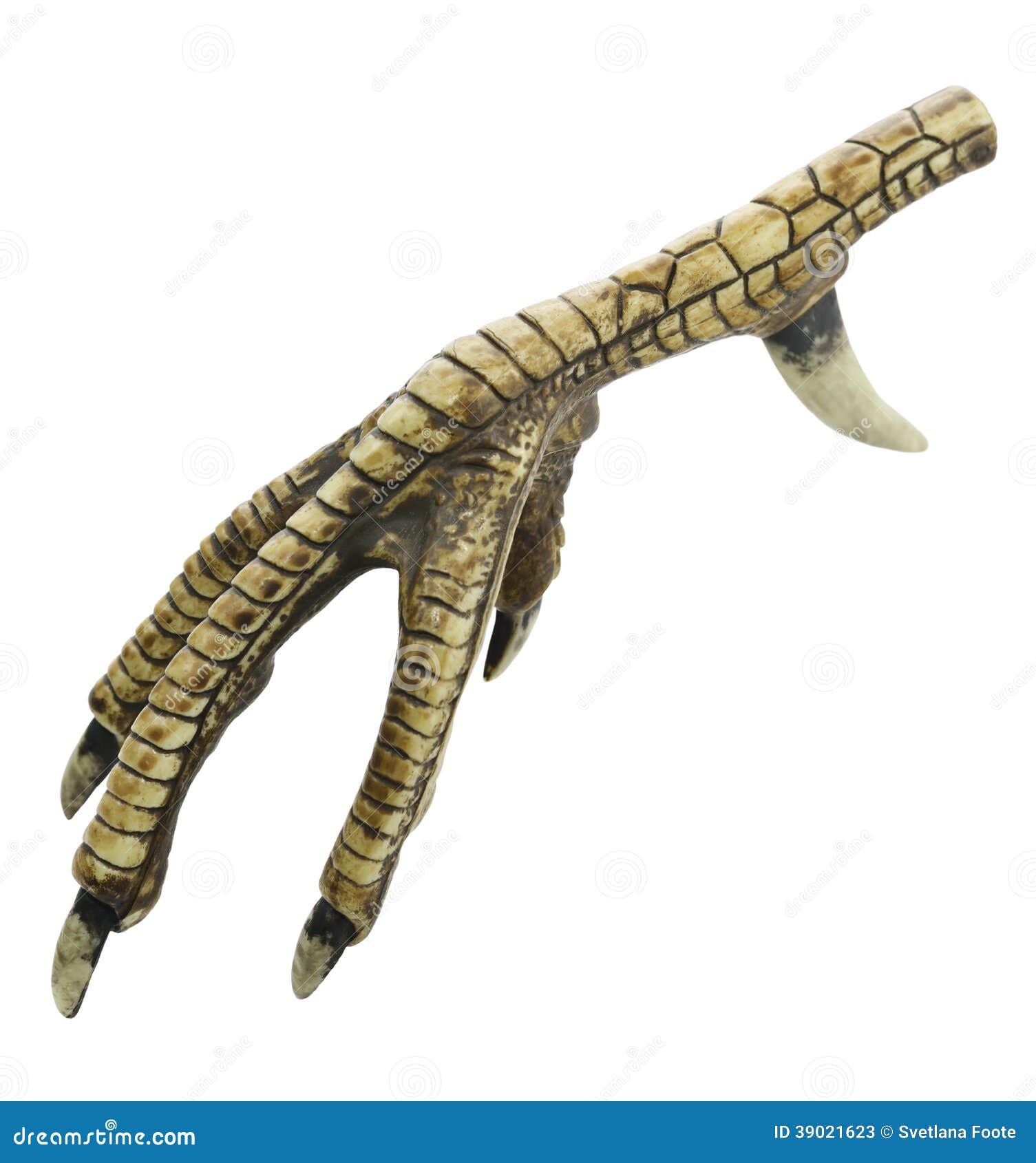 Chicken or Turkey Leg stock image. Image of animal, white 39021623