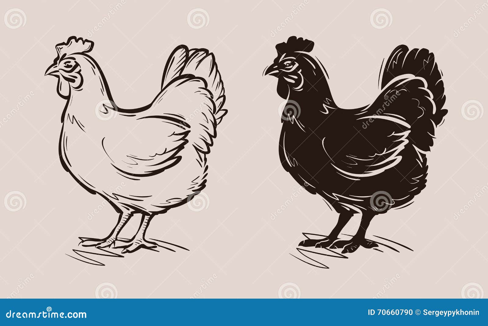 chicken  logo. farm, poultry, hen, fowl icon
