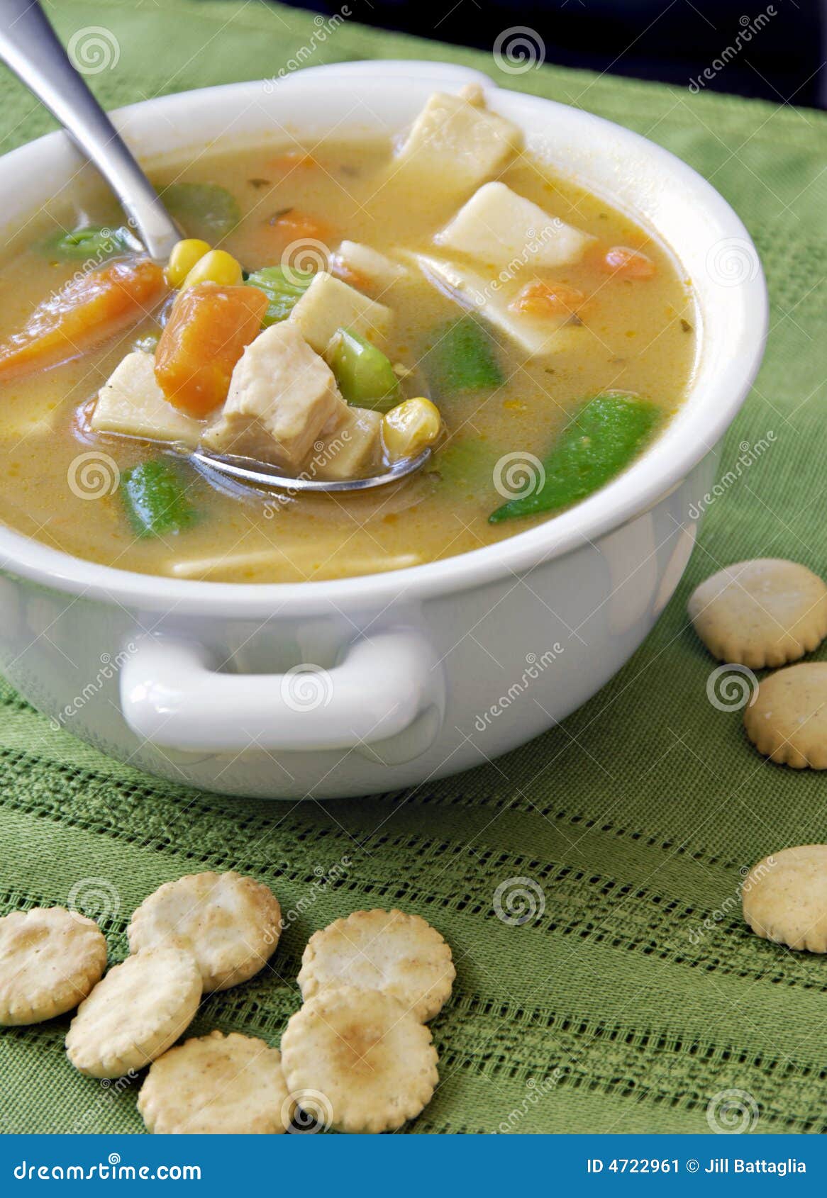 Chicken and Vegetable Soup stock image. Image of cook - 4722961