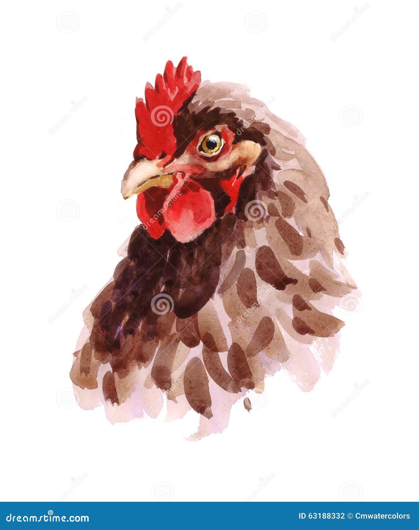 Chicken Watercolor Illustration Hand Drawn Stock Illustration