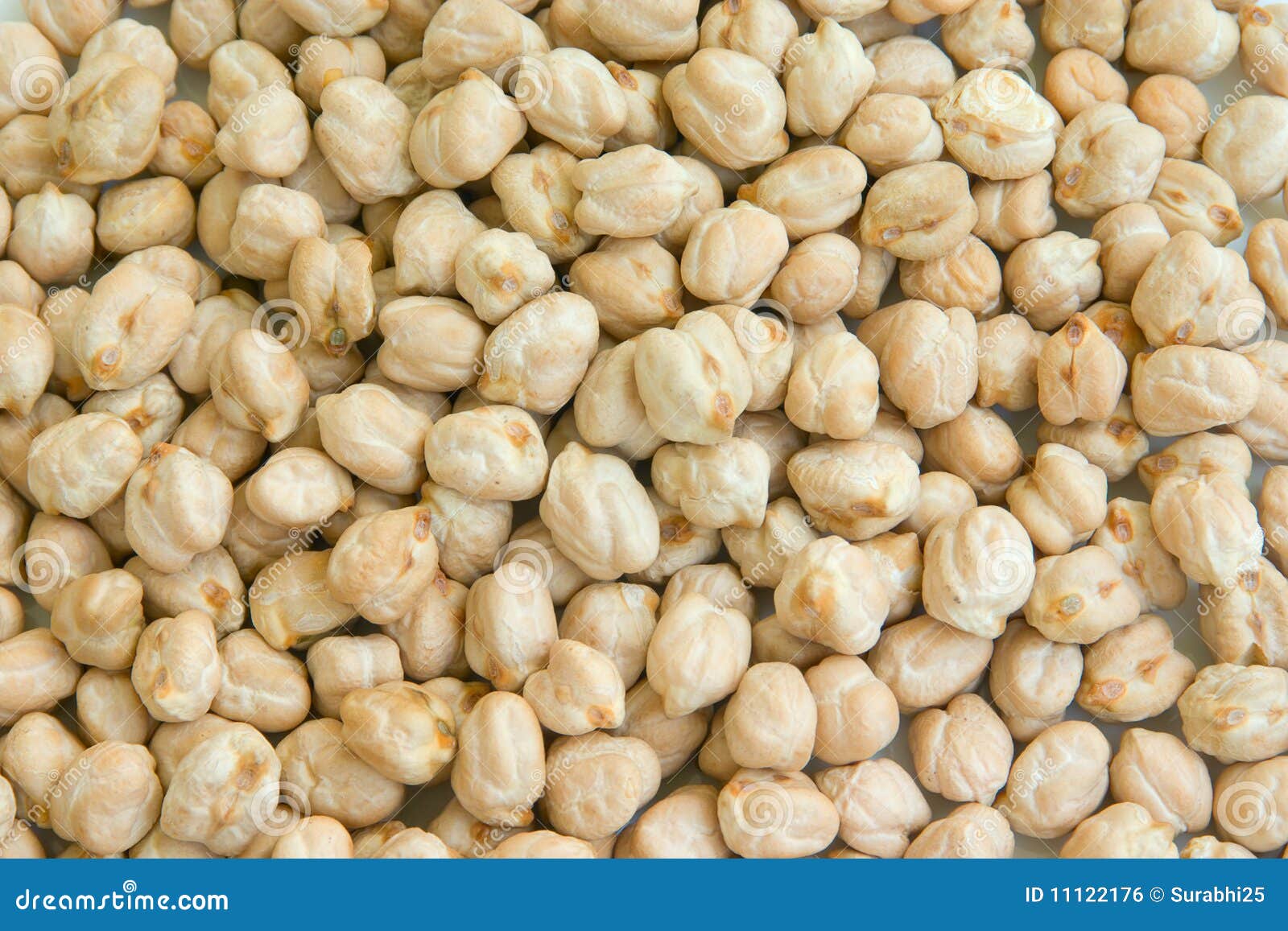 Chickpea, garbanzo, gram stock photo. Image of eating 11122176