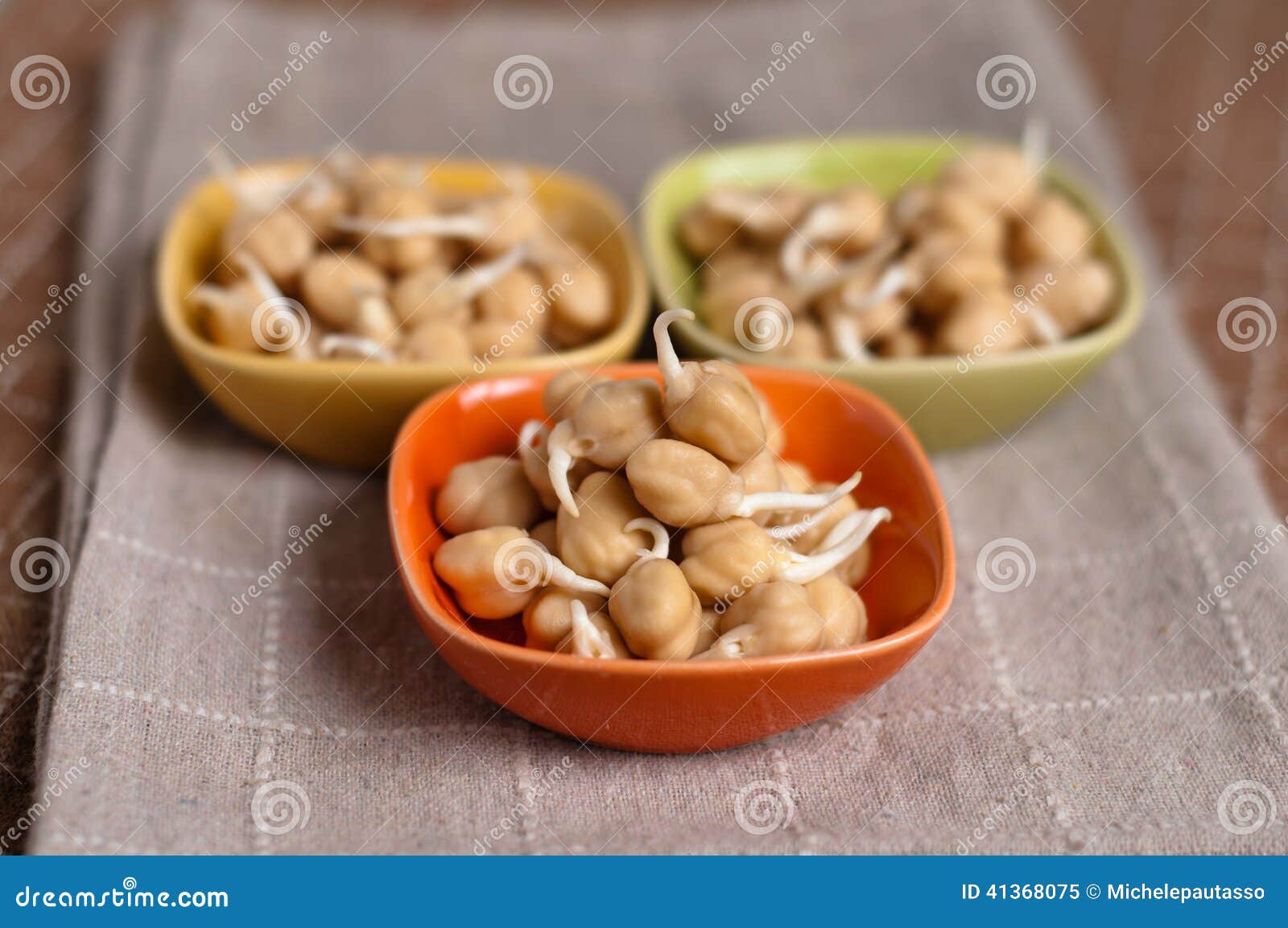 Chickpea sprouts stock image. Image of closeup, cook 41368075