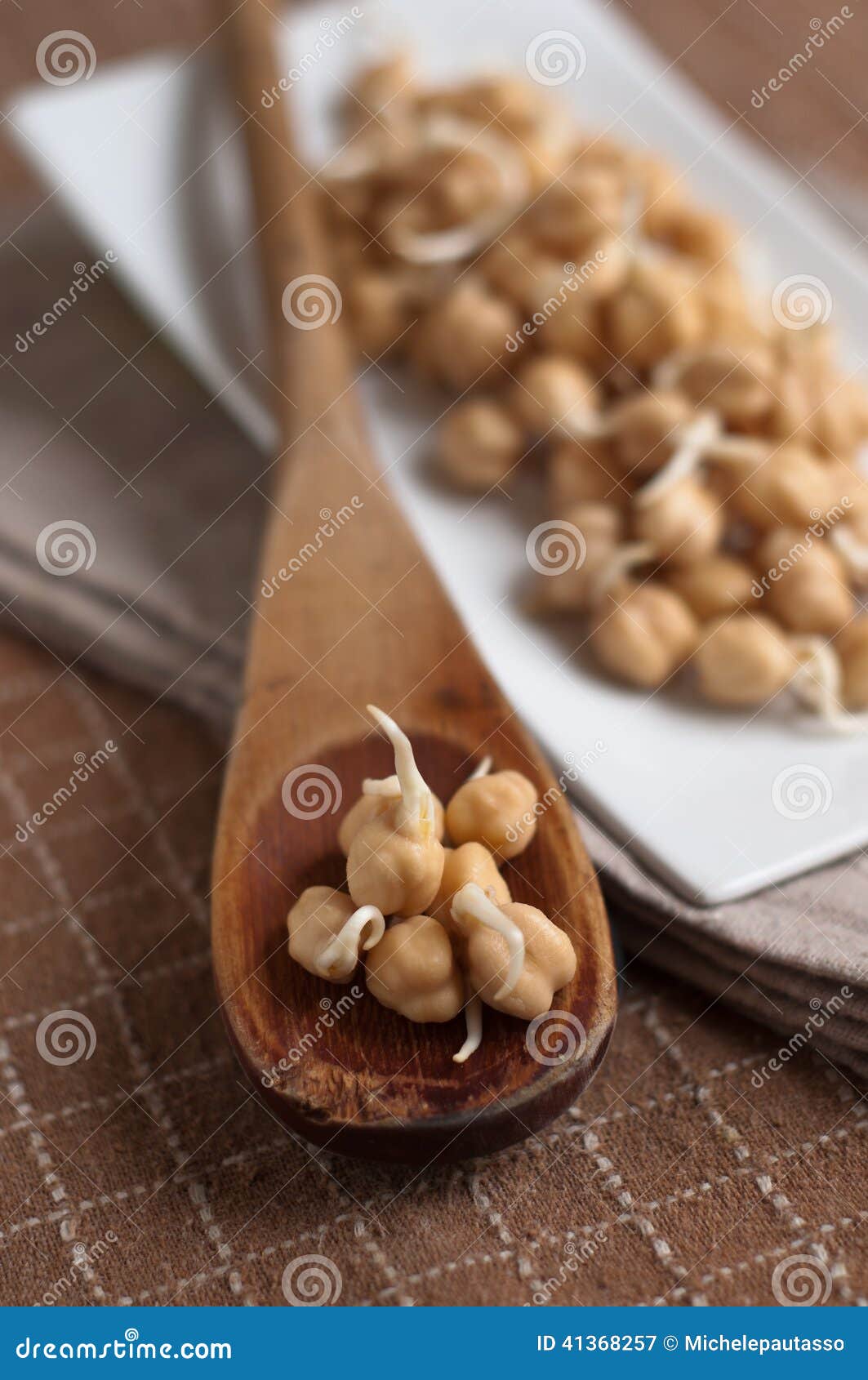 Chickpea sprouts stock image. Image of garbanzo, eating 41368257