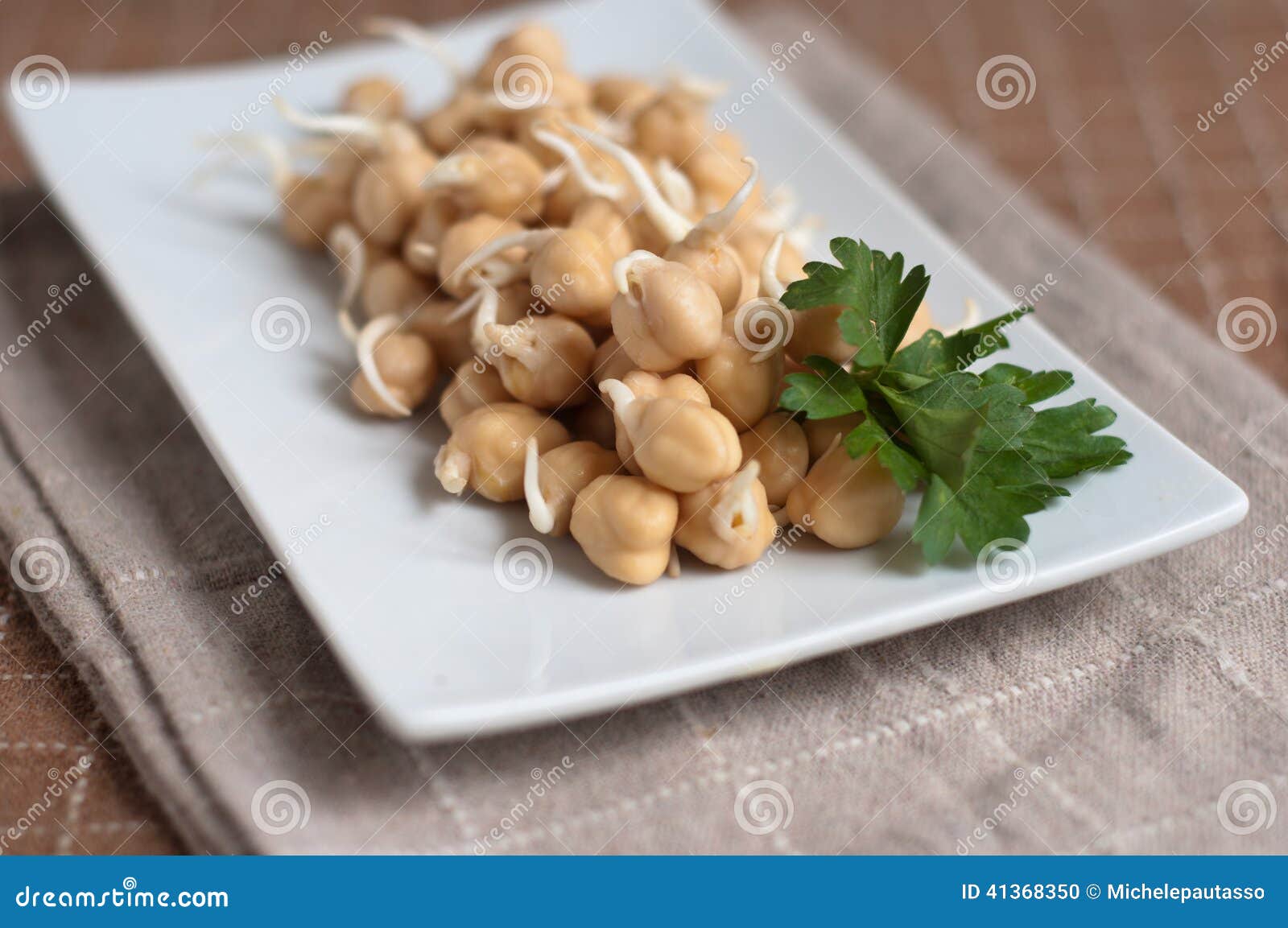 Chickpea sprouts stock photo. Image of food, dinner, lunch 41368350