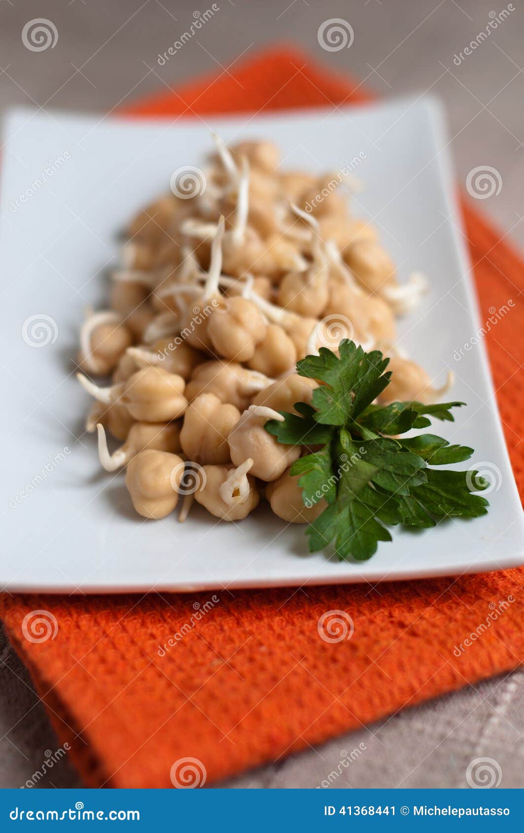 Chickpea sprouts stock image. Image of eating, diet, fresh 41368441