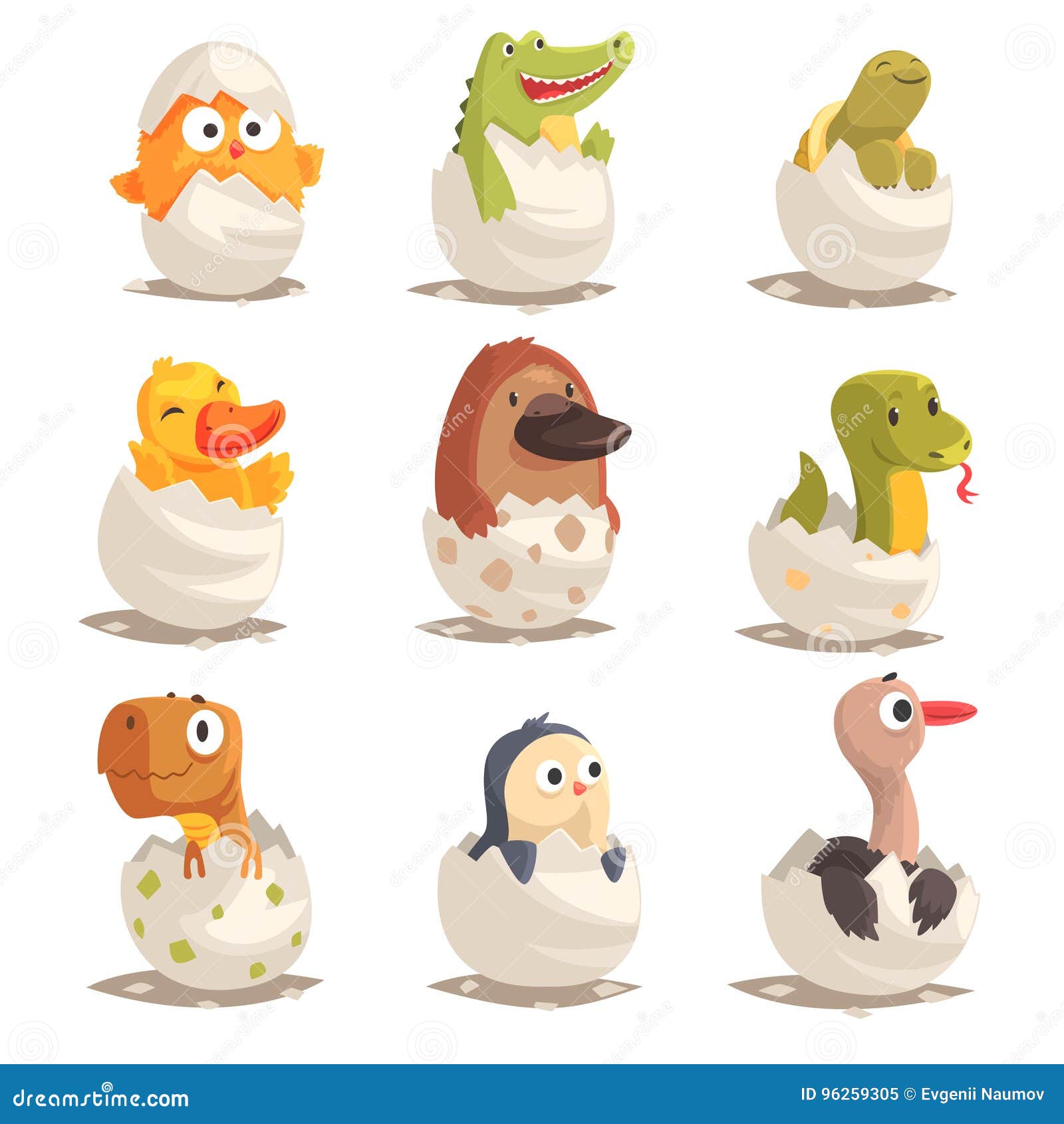 Chicks And Reptiles Hatch From Eggs Set Unborn Animals Vector Illustrations Stock Vector Illustration Of Platypus Newborn Chicks And Reptiles Hatch From Eggs Set Unborn Animals Vector Illustrations Stock Vector Illustration Of Platypus Newborn