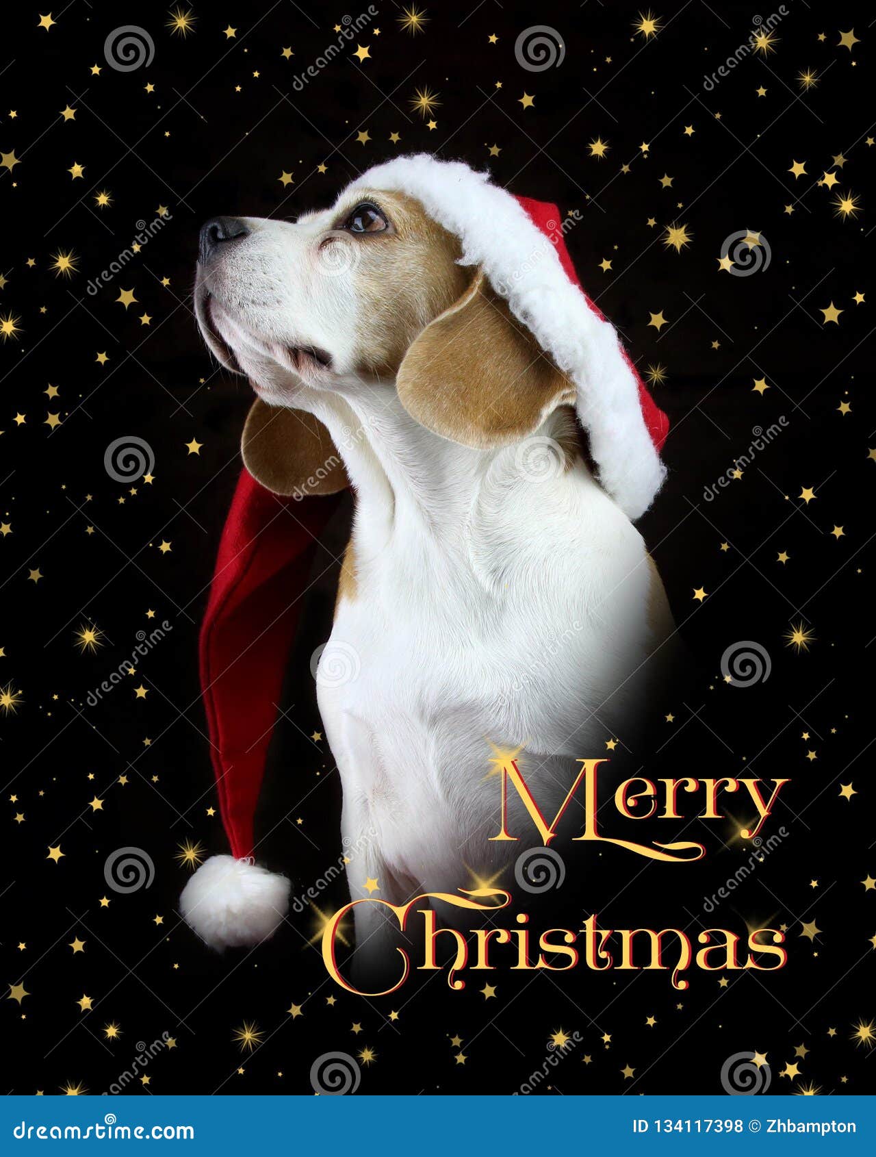 À vous tous à Noël Avec Amour Carte de Noël 8" x 6" chiens avec SANTA Chapeaux