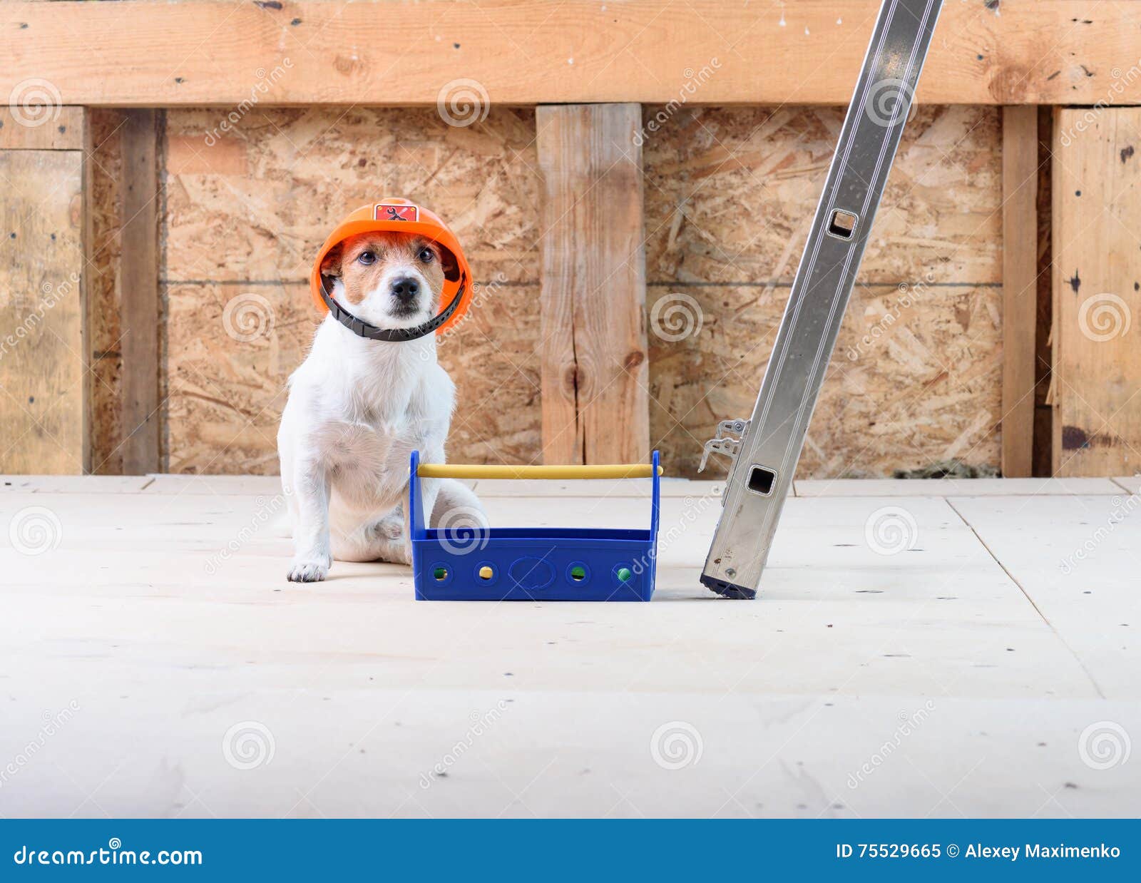 Tête de chien Casque de sécurité de chien Chantier de construction