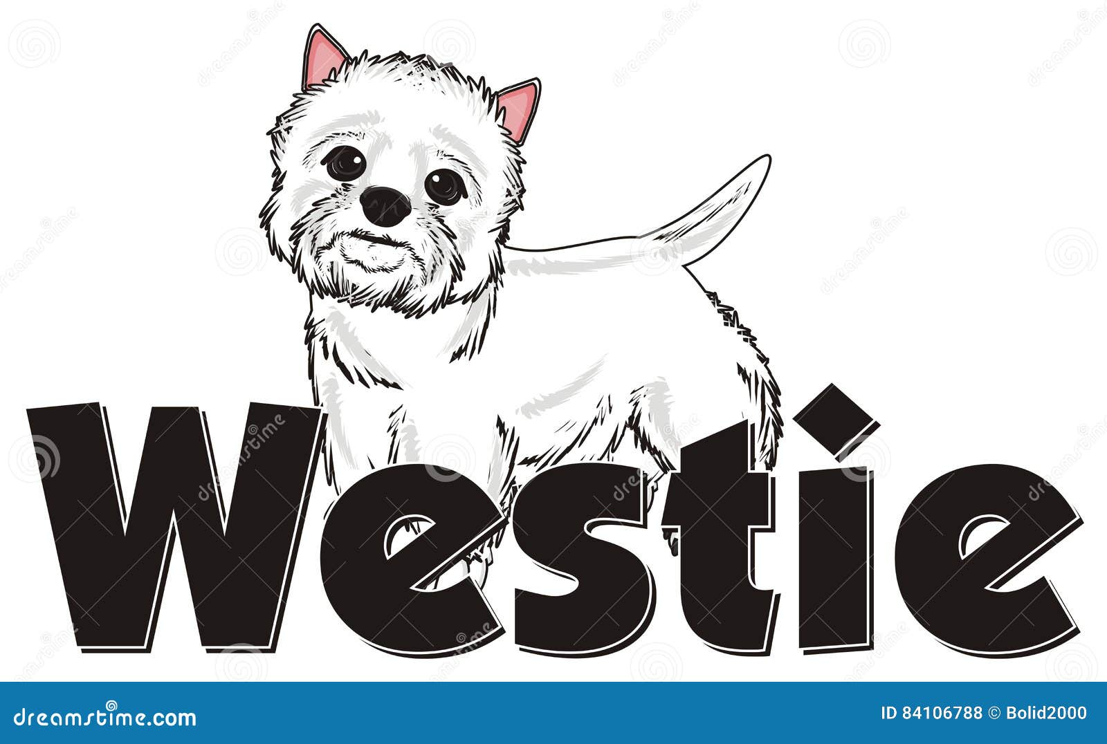 Chien Et Nom De Sa Race Illustration Stock Illustration Du