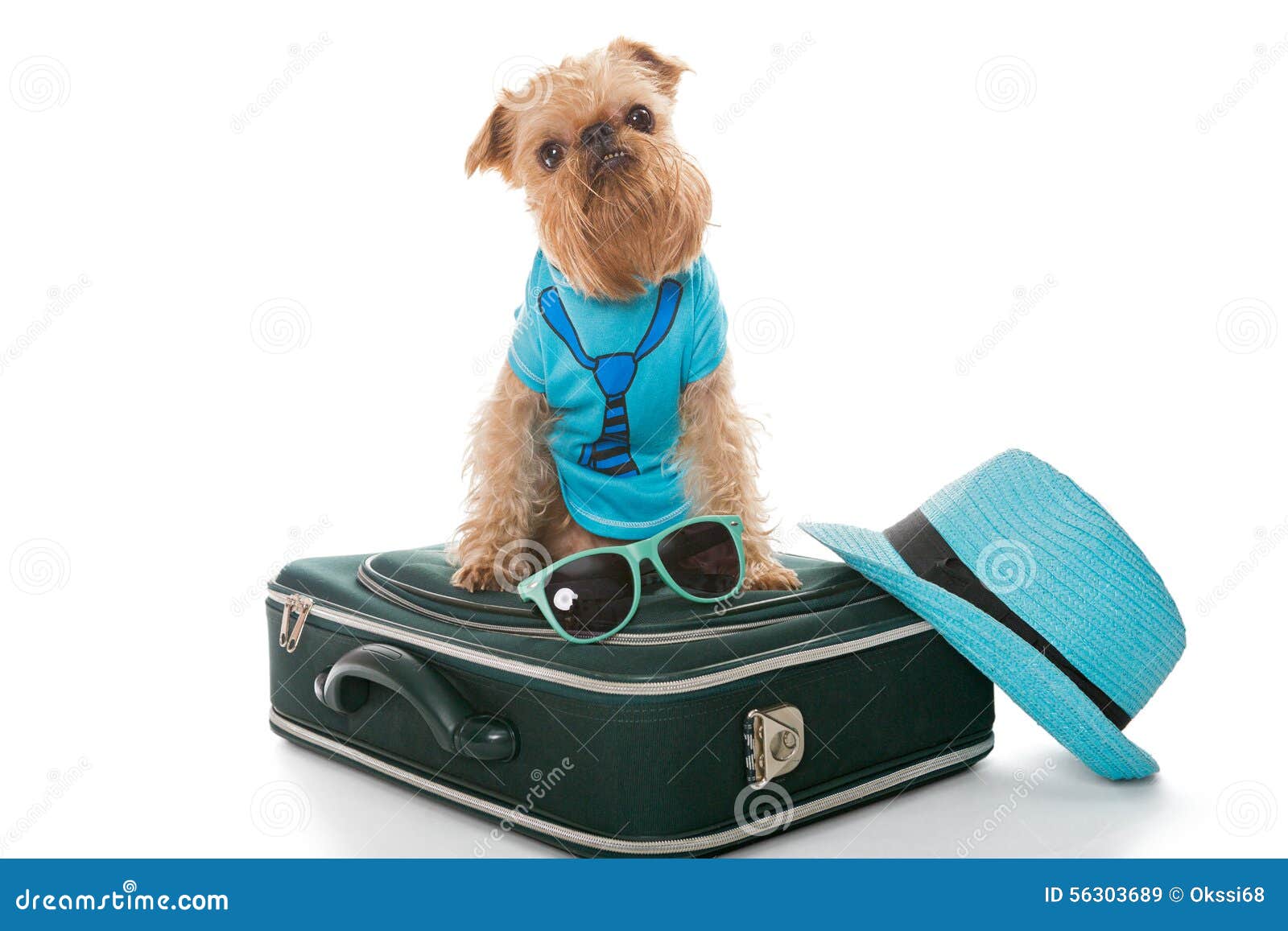 Chien Et Une Valise Pour Le Voyage Image stock - Image du crabot,  isolement: 56303689