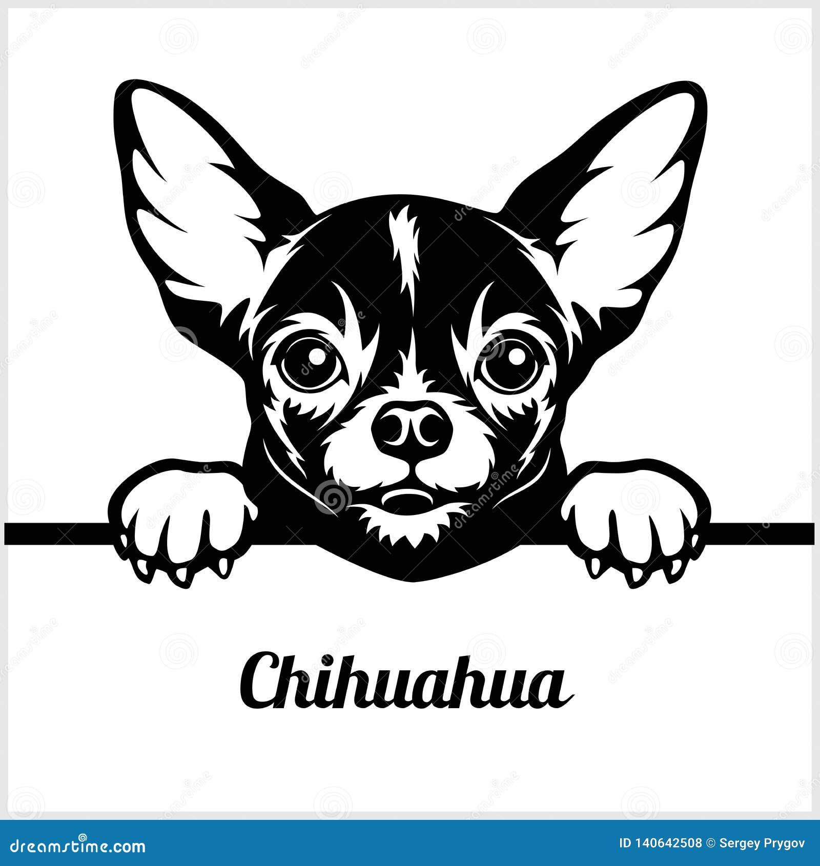 chihuahua - peeking dogs - - breed face head  on white