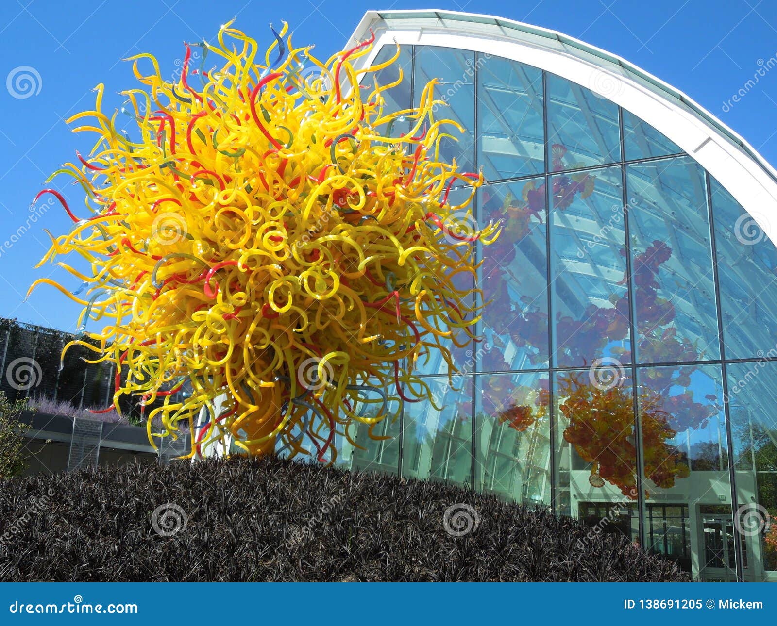 Sovesal kighul Bi Chihuly Garden and Glass Museum Seattle Editorial Image - Image of bright,  dale: 138691205