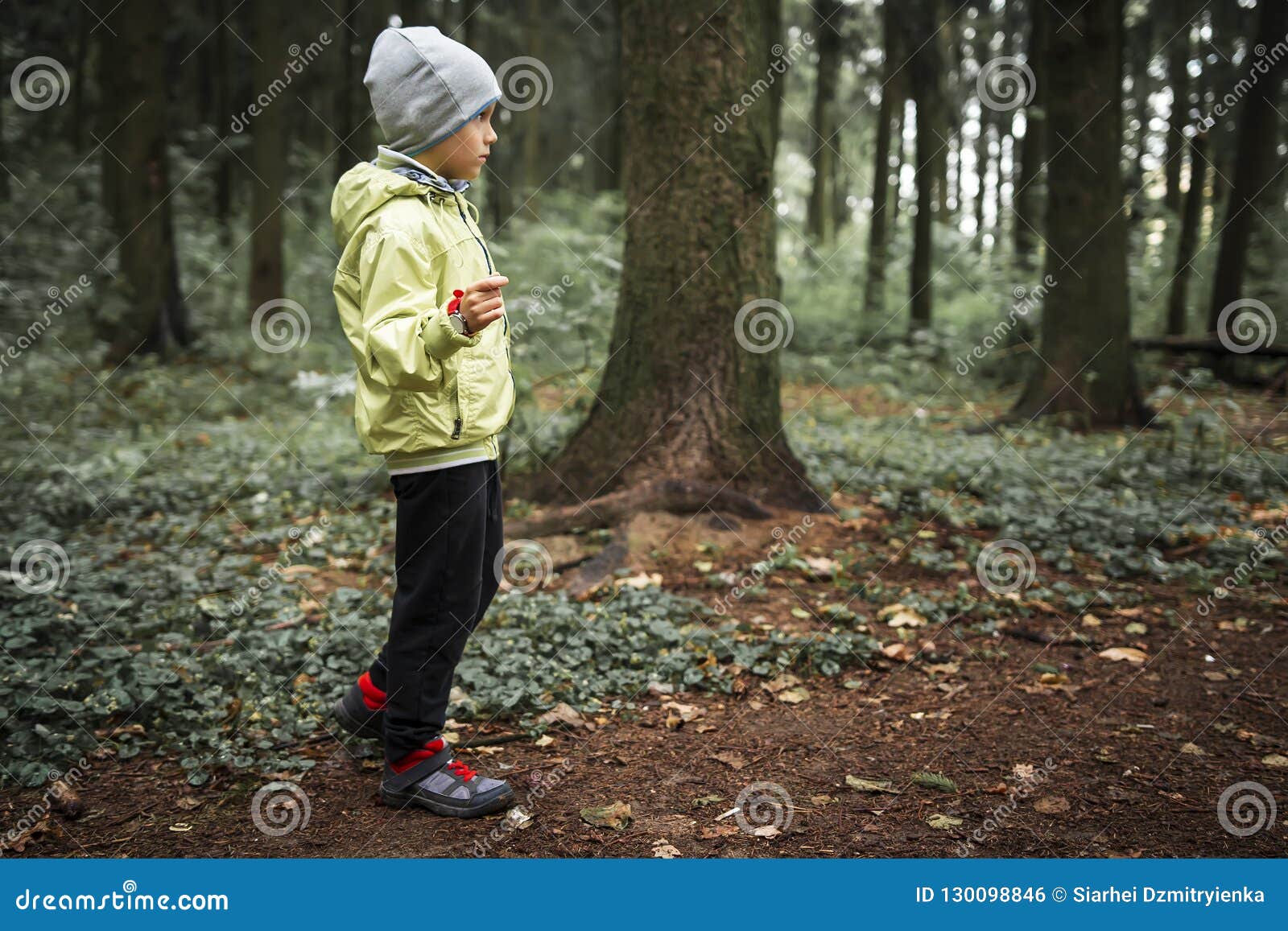 Оставила детей в лесу. Мальчик в лесу. Маленький мальчик в лесу. Мальчик заблудился в лесу. Хлопчик в лесу.