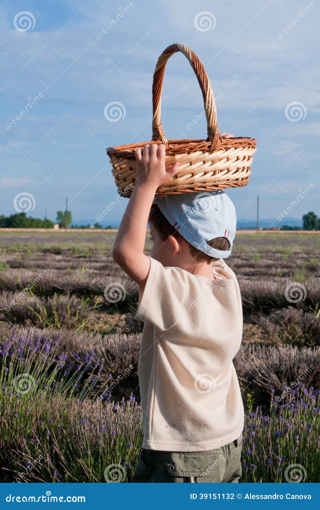 Child With A Basket In The Field Stock Photo Image 39151132