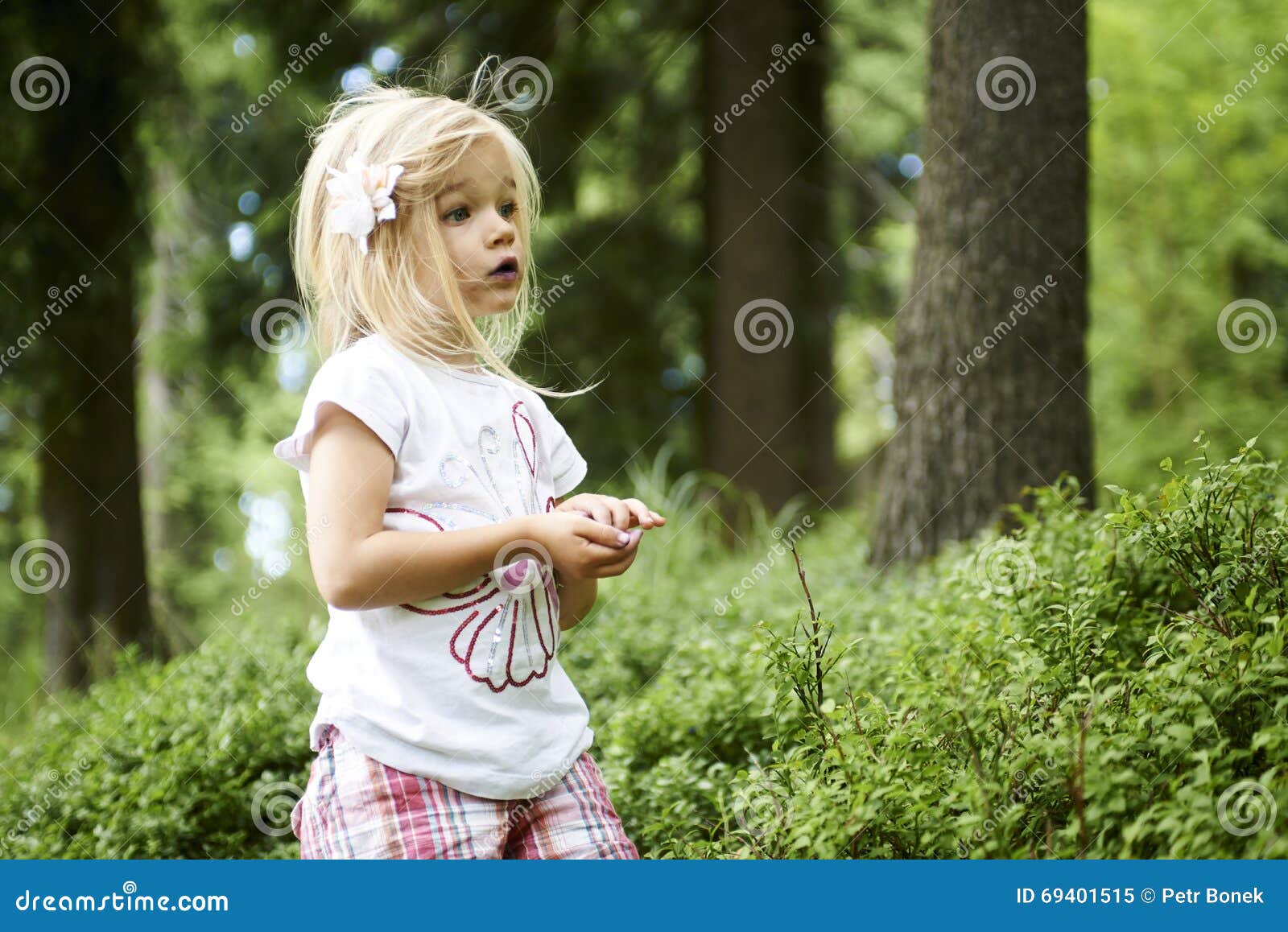 Child Blond Little Girl Picking Fresh Berries on Blueberry Field in ...