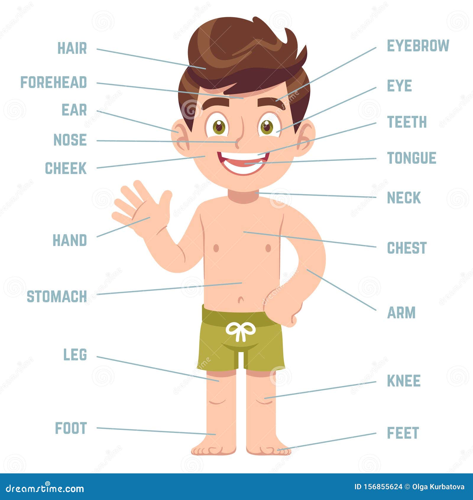 Child Body Parts. Boy with Eye, Nose and Mouth, Hair, Ear and Callouts with  English Words Cartoon Preschool Education Stock Vector - Illustration of  nose, isolated: 156855624