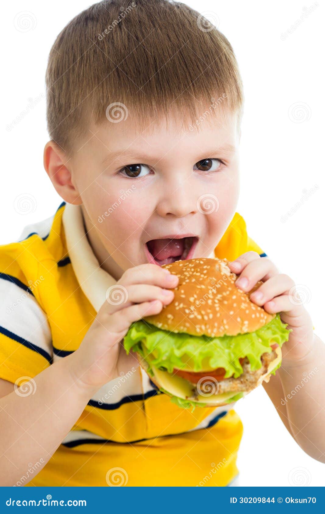 Child Boy Eating Hamburger Isolated Stock Photo Image of appetizer