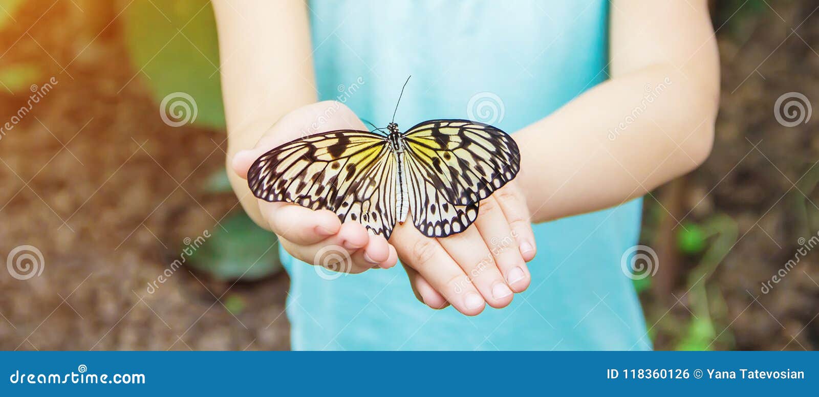 Child with a butterfly. stock photo. Image of animals 118360126