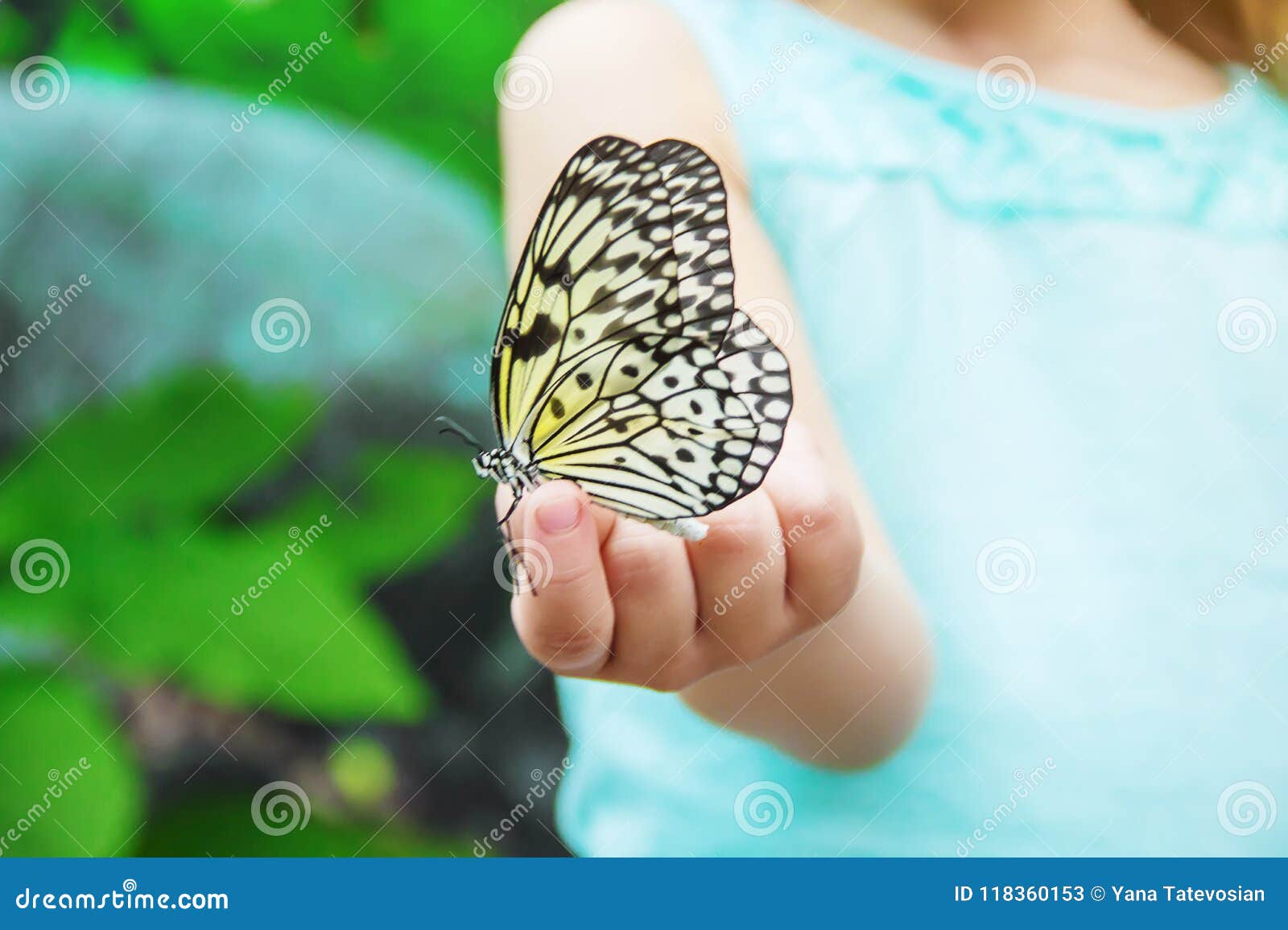 Child with a butterfly. stock image. Image of catch 118360153