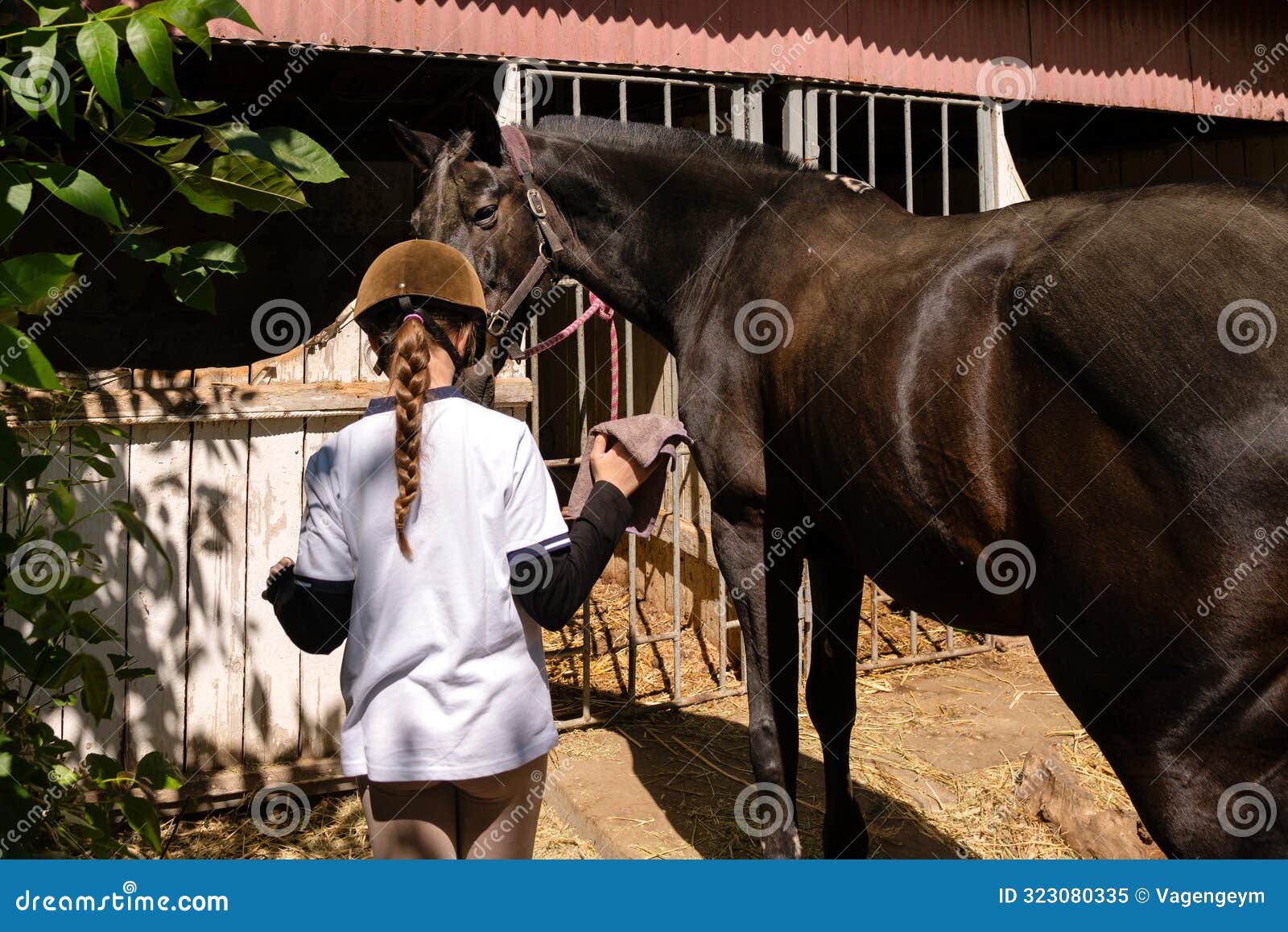 child cleaning horse's face with cloth at stable