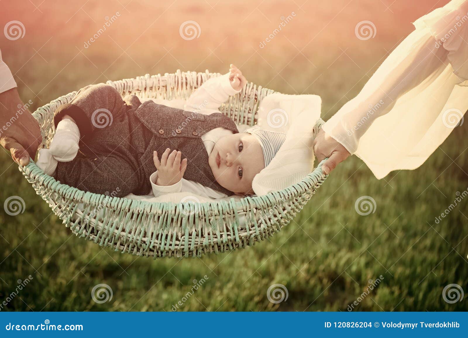 child custody. infant lie in basket held in hands on green grass
