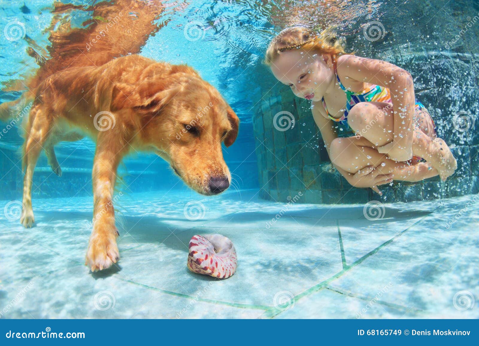 child with dog dive underwater in swimming pool