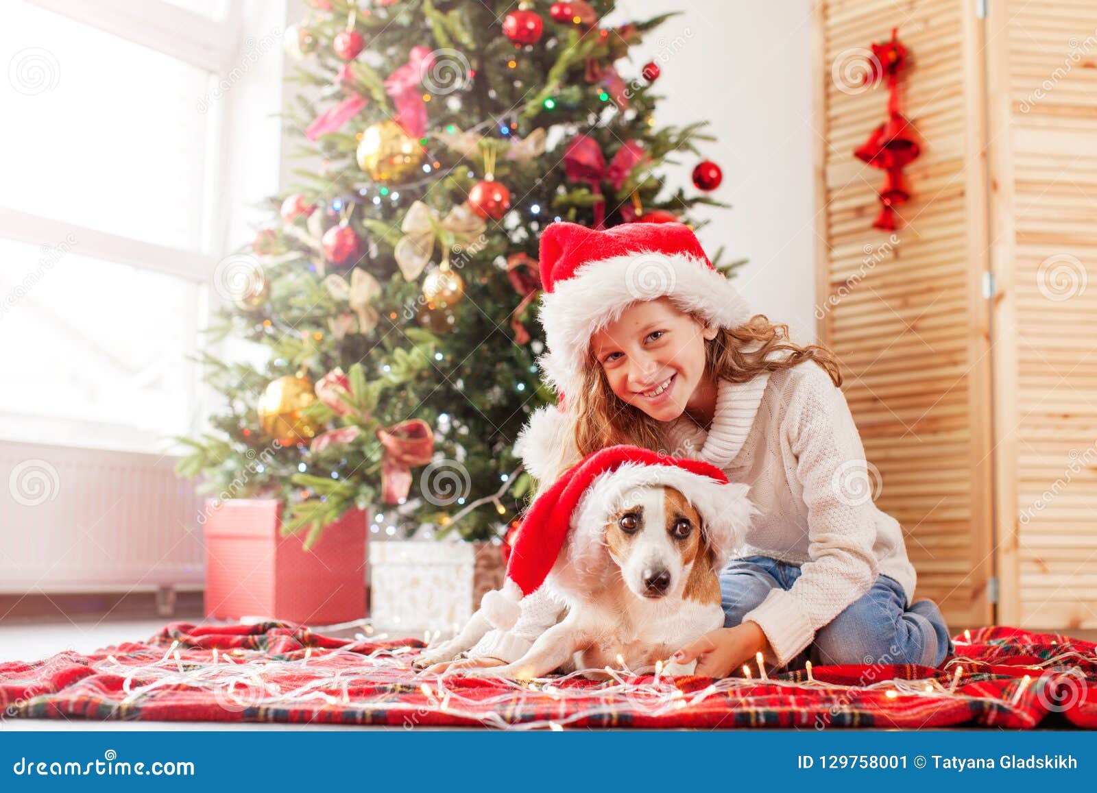 Child with Dog Near Christmas Tree Stock Image - Image of puppy, little ...