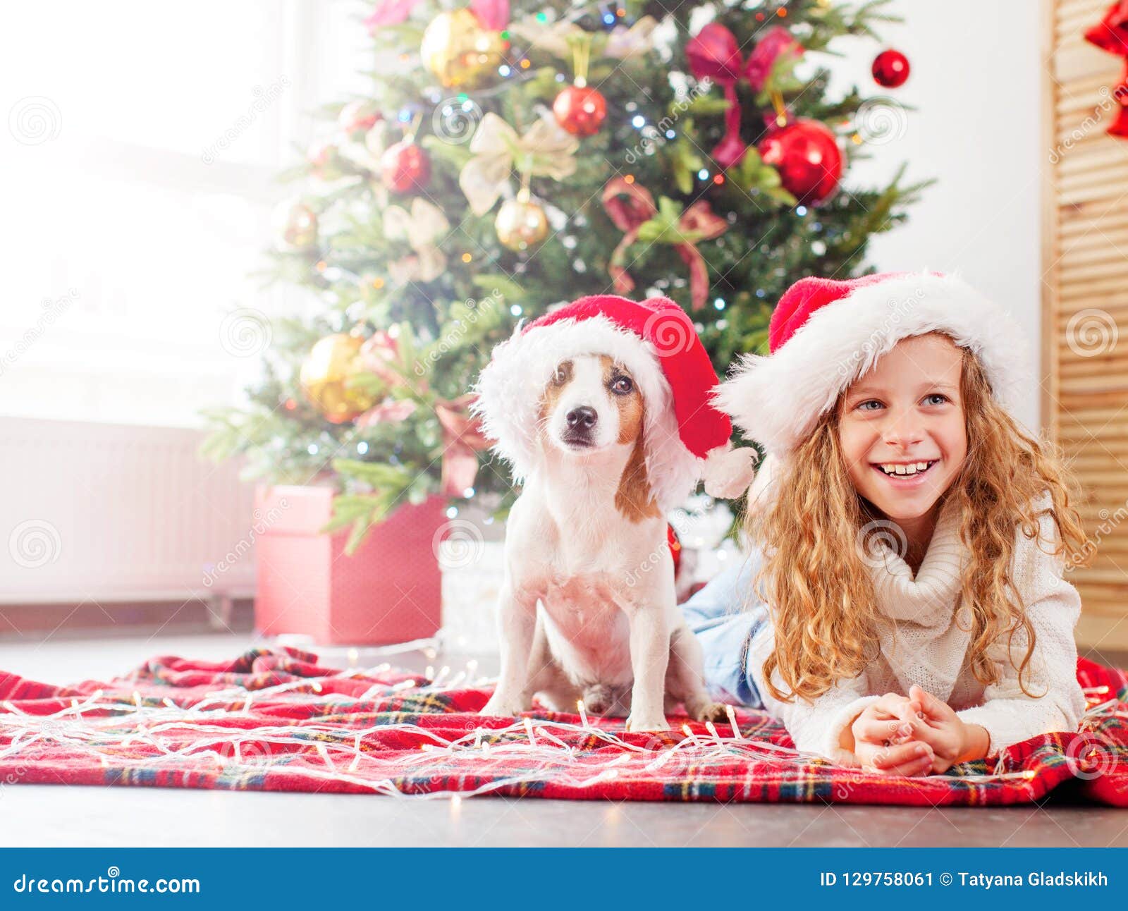 Child with Dog Near Christmas Tree Stock Image - Image of little ...