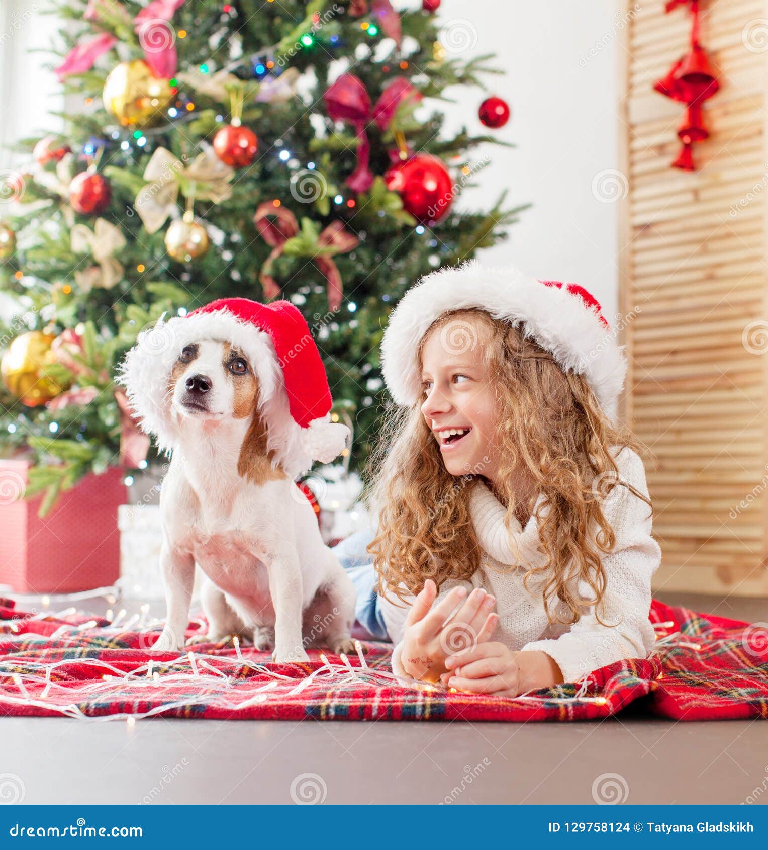 Child with Dog Near Christmas Tree Stock Photo - Image of family, happy ...