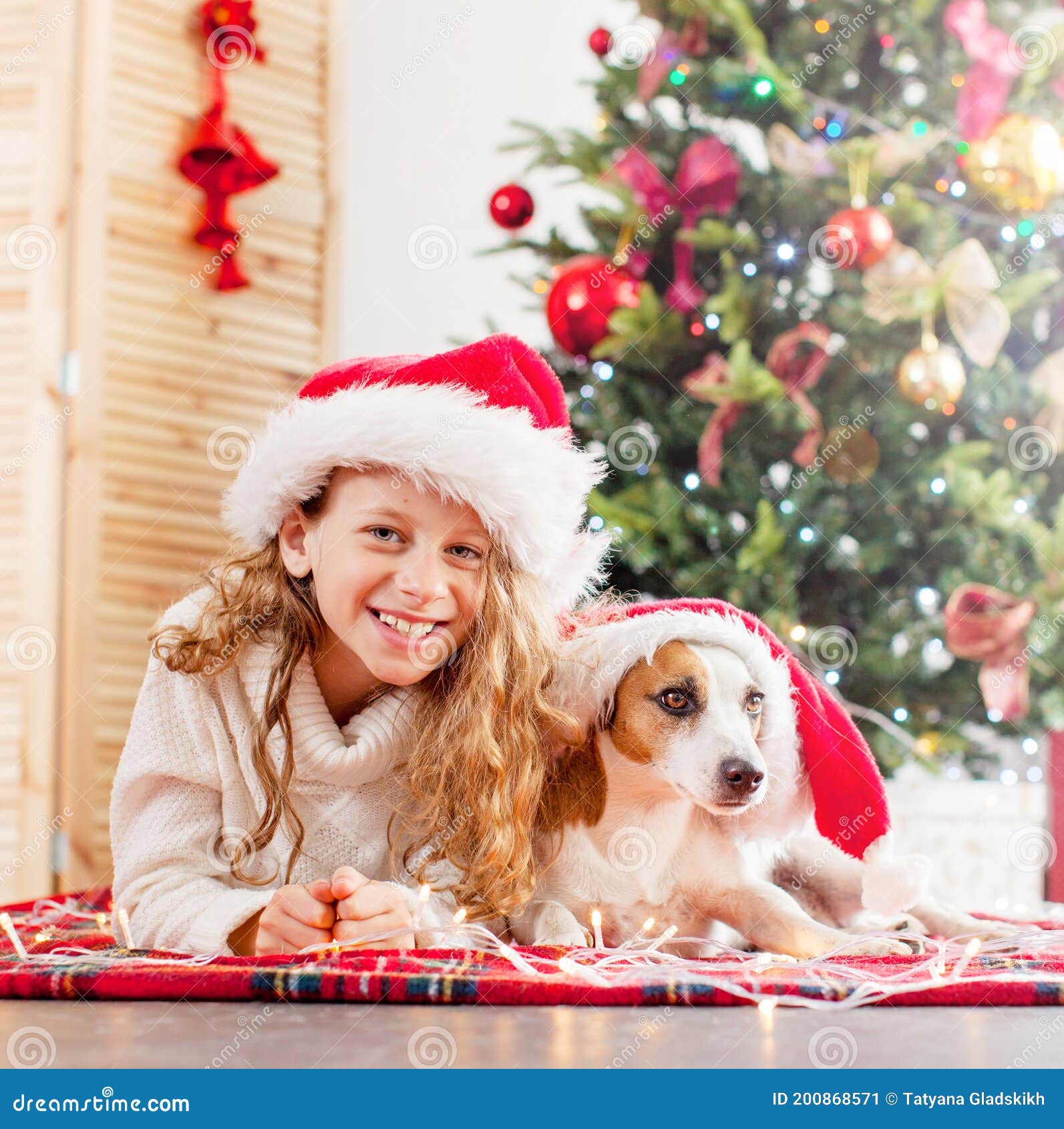 Child with Dog Near Christmas Tree Stock Image - Image of little, child ...