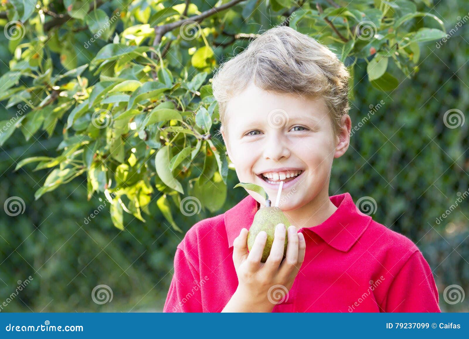Child Drinking a Fruit Juice Pear Stock Image Image of meat, health 79237099
