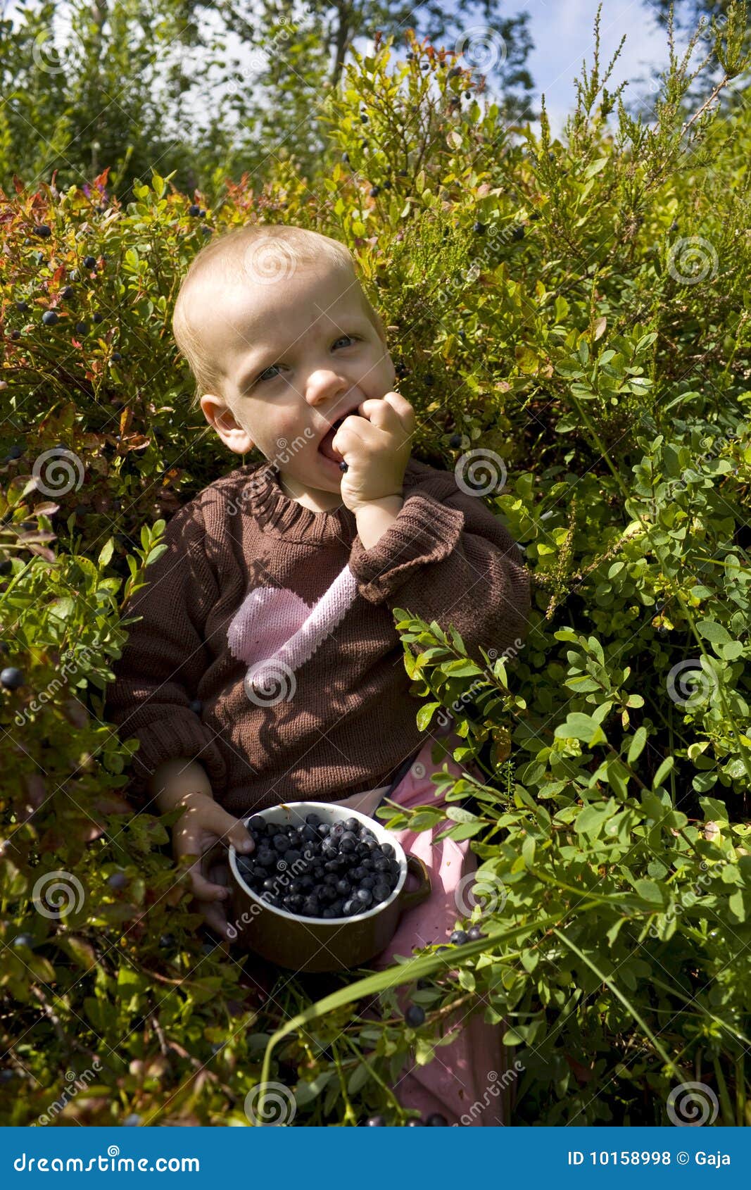 Child eating bilberries stock photo. Image of front, enjoys 10158998