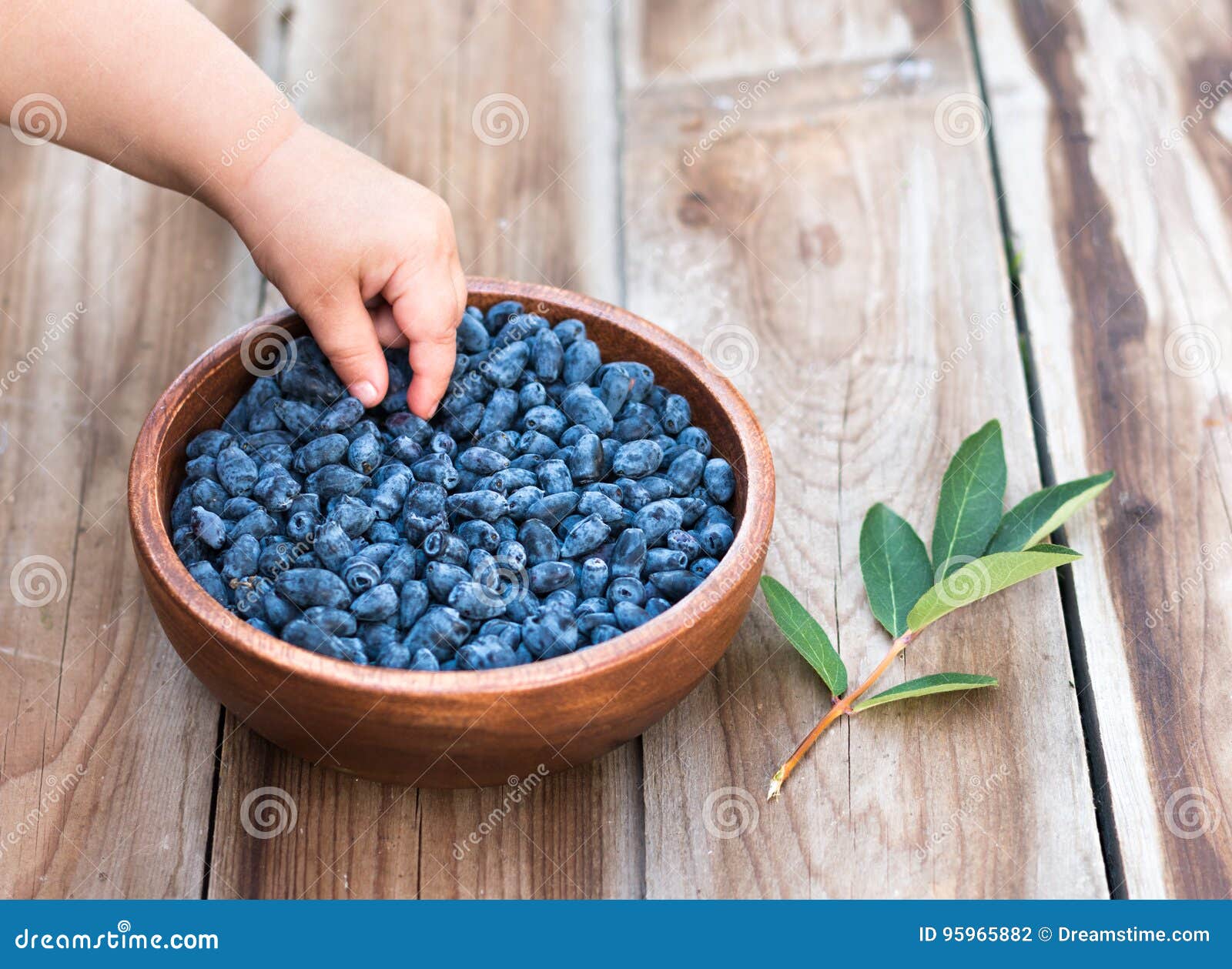 child eating blue berries