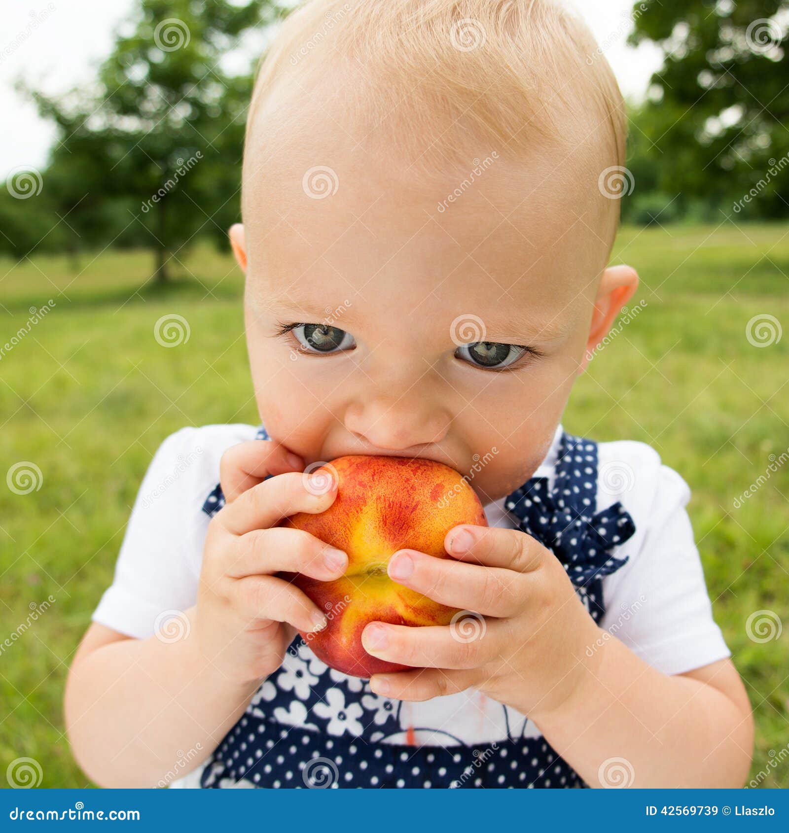 Child eating peach stock image. Image of summer, cute 42569739