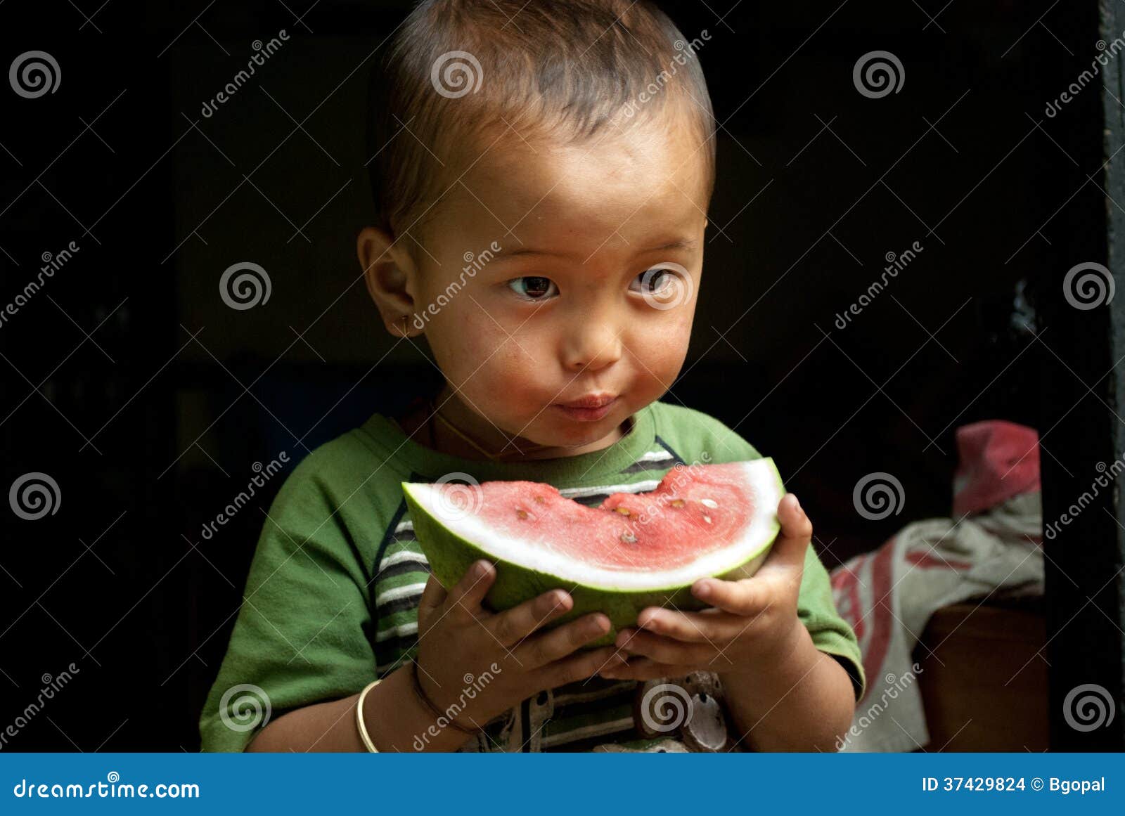 528 Watermelon India Stock Photos Free & RoyaltyFree Stock Photos