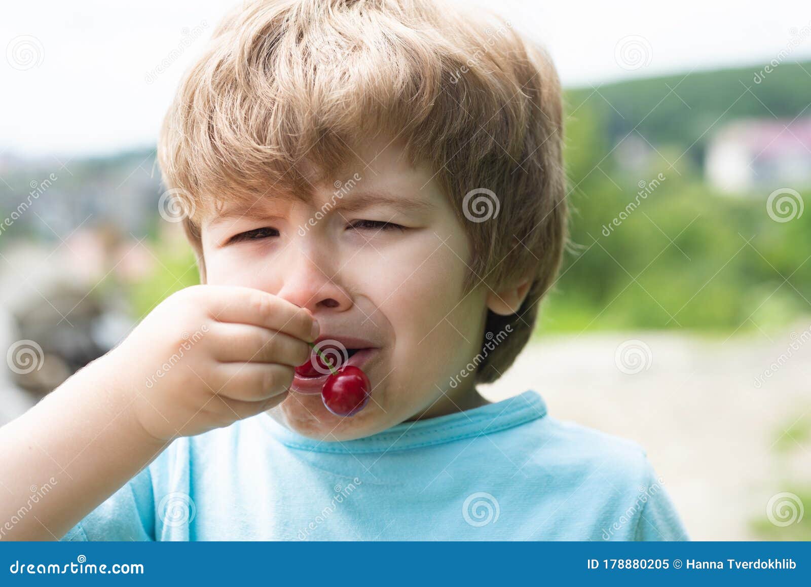The Child Eats Sour Cherries. Sour Taste. Fruit from the Home Garden ...