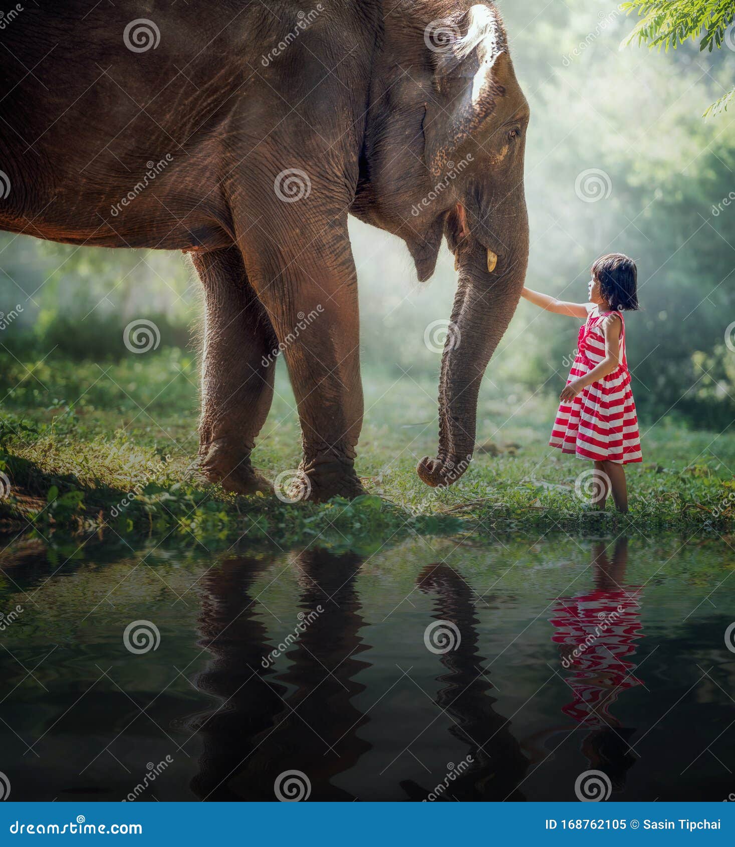Child girl and elephant stock image. Image of nature 168762105