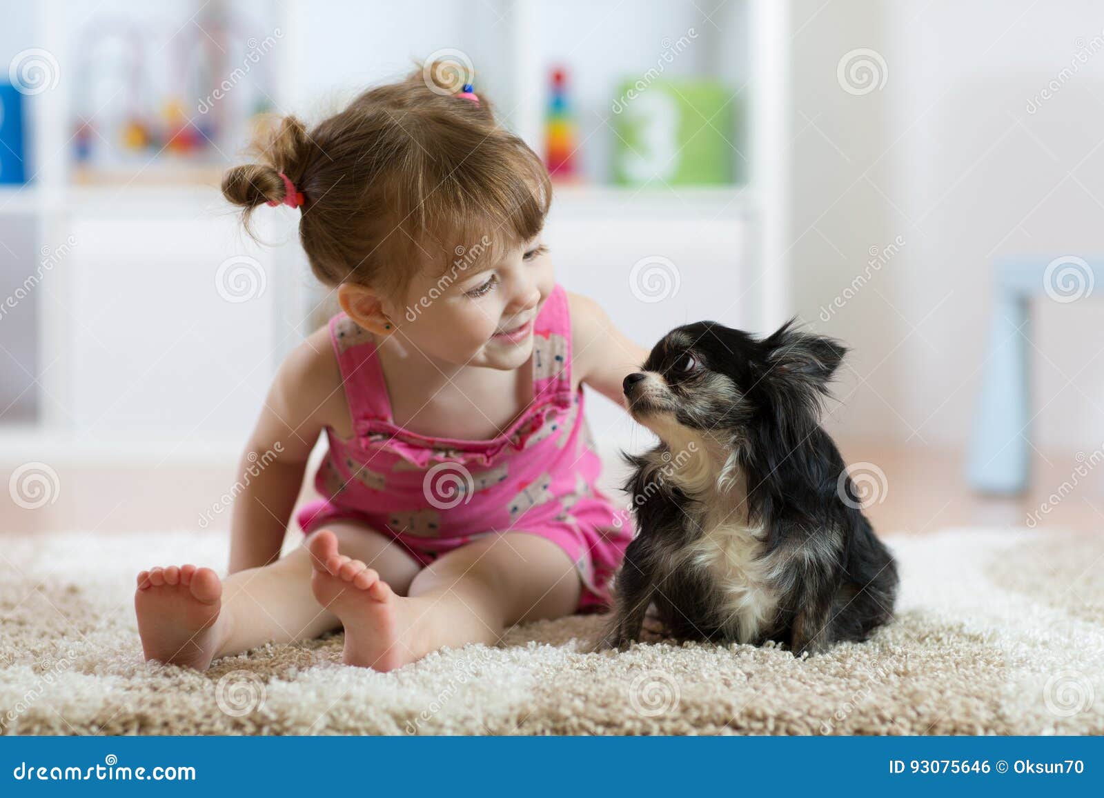 child girl with little dog black hairy chihuahua doggy