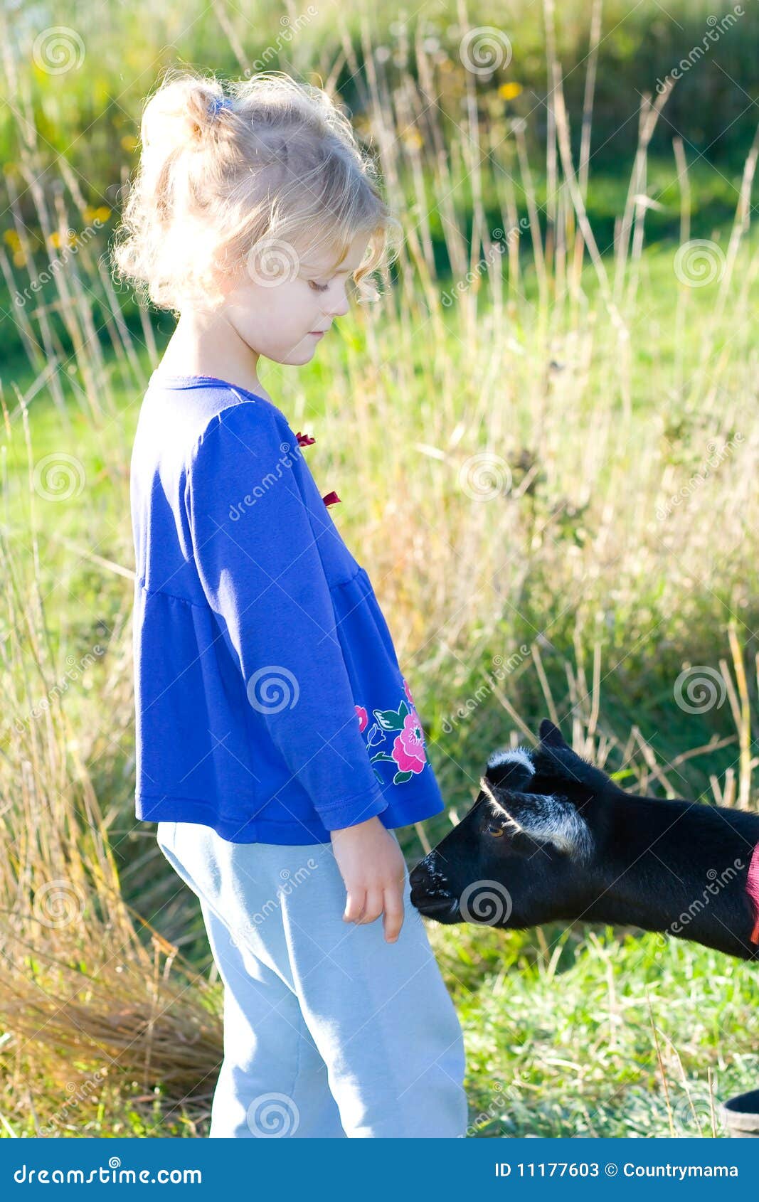 Child and goat. stock image. Image of female, greet, goat 11177603